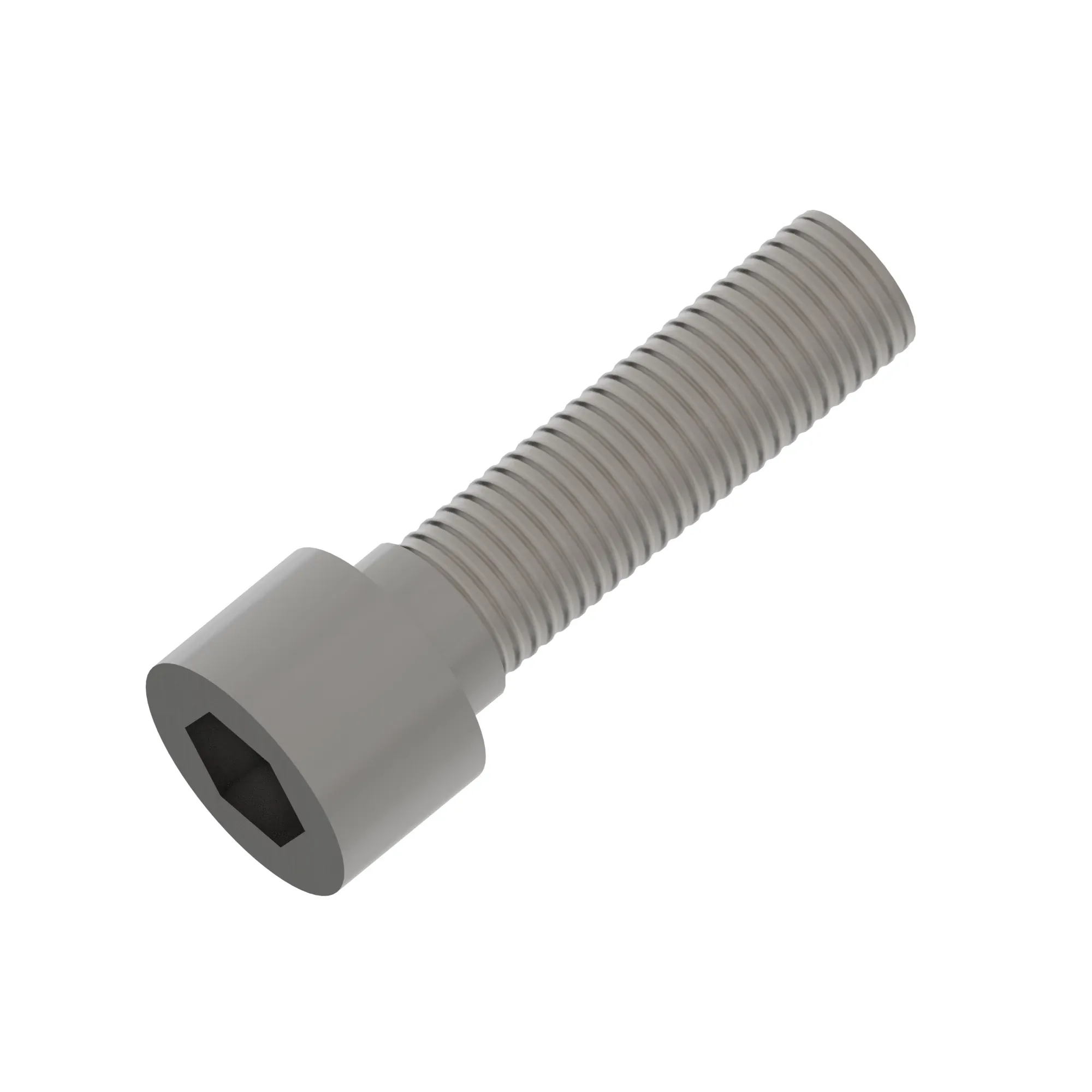 Socket Head Screw