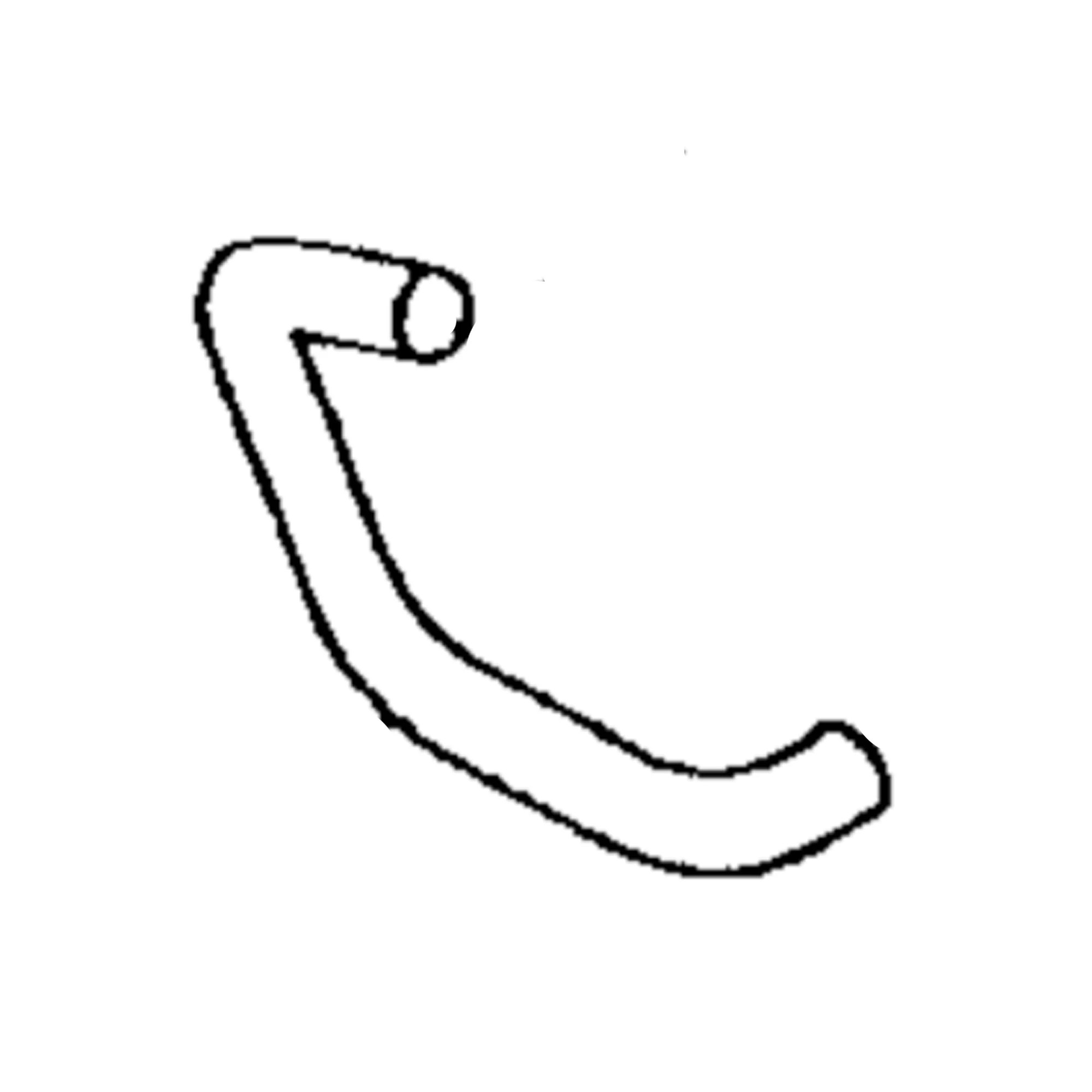 HOSE, LOWER RADIATOR