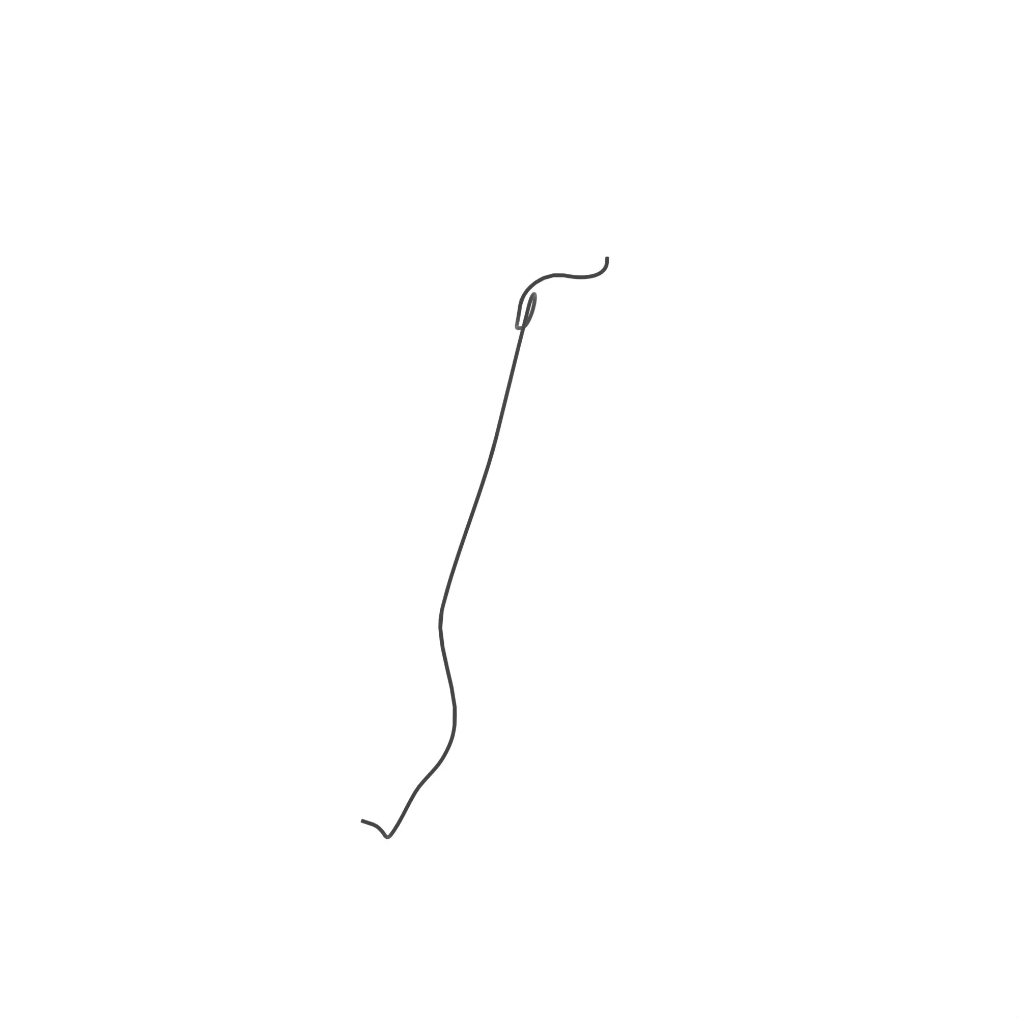 Hose