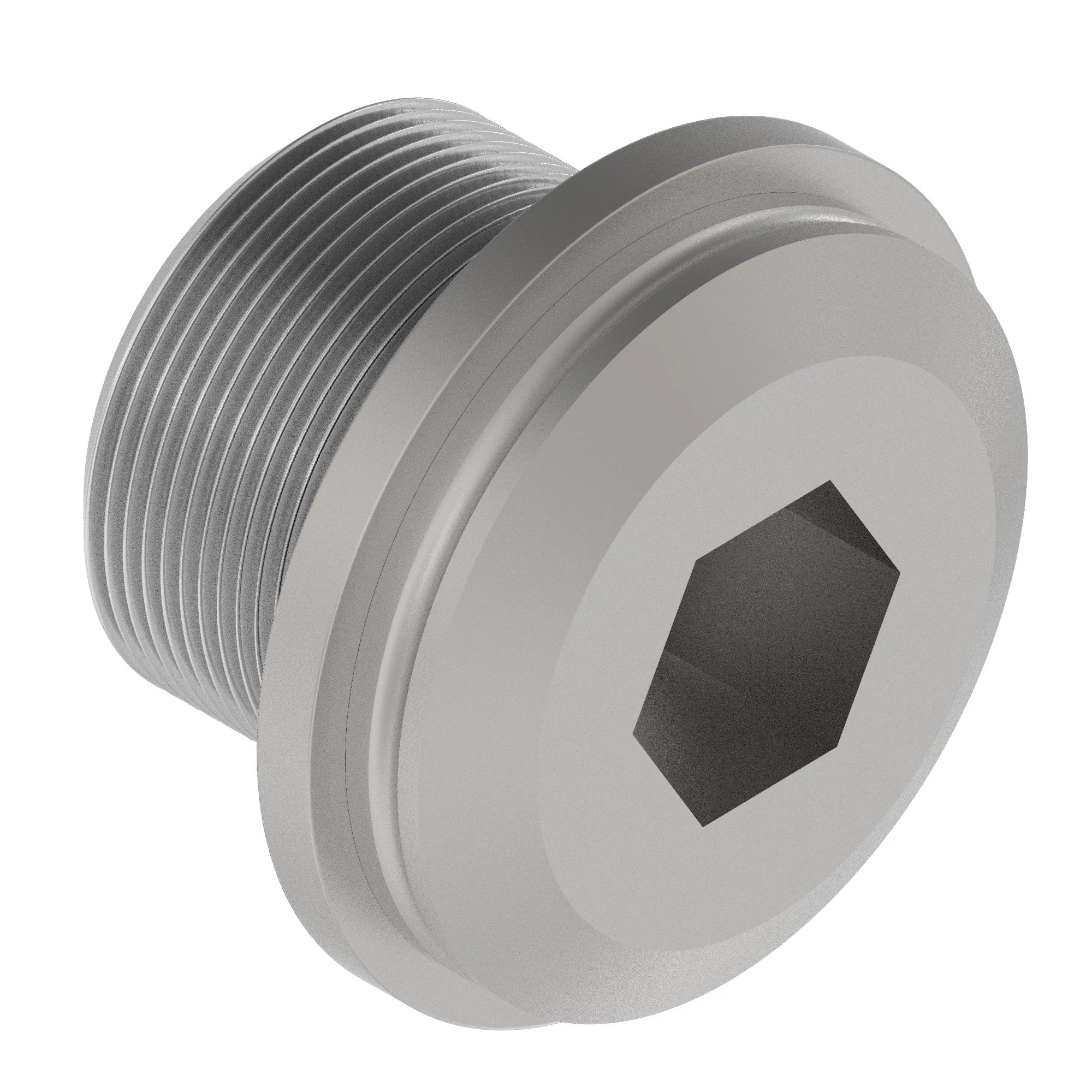 PLUG W/ O-RING