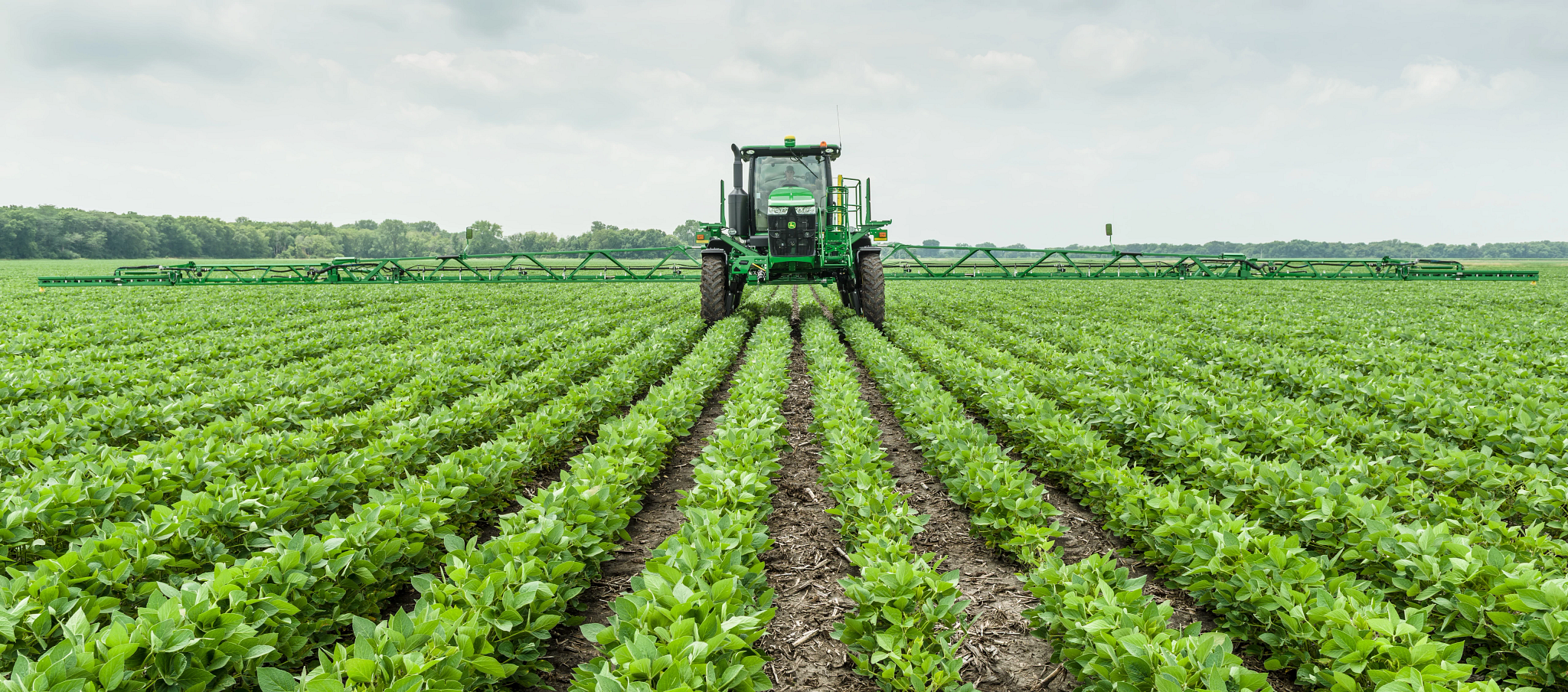 Front view of agricultural sprayer driving through evenly spaced rows of young crops, with long spray booms extended a field.