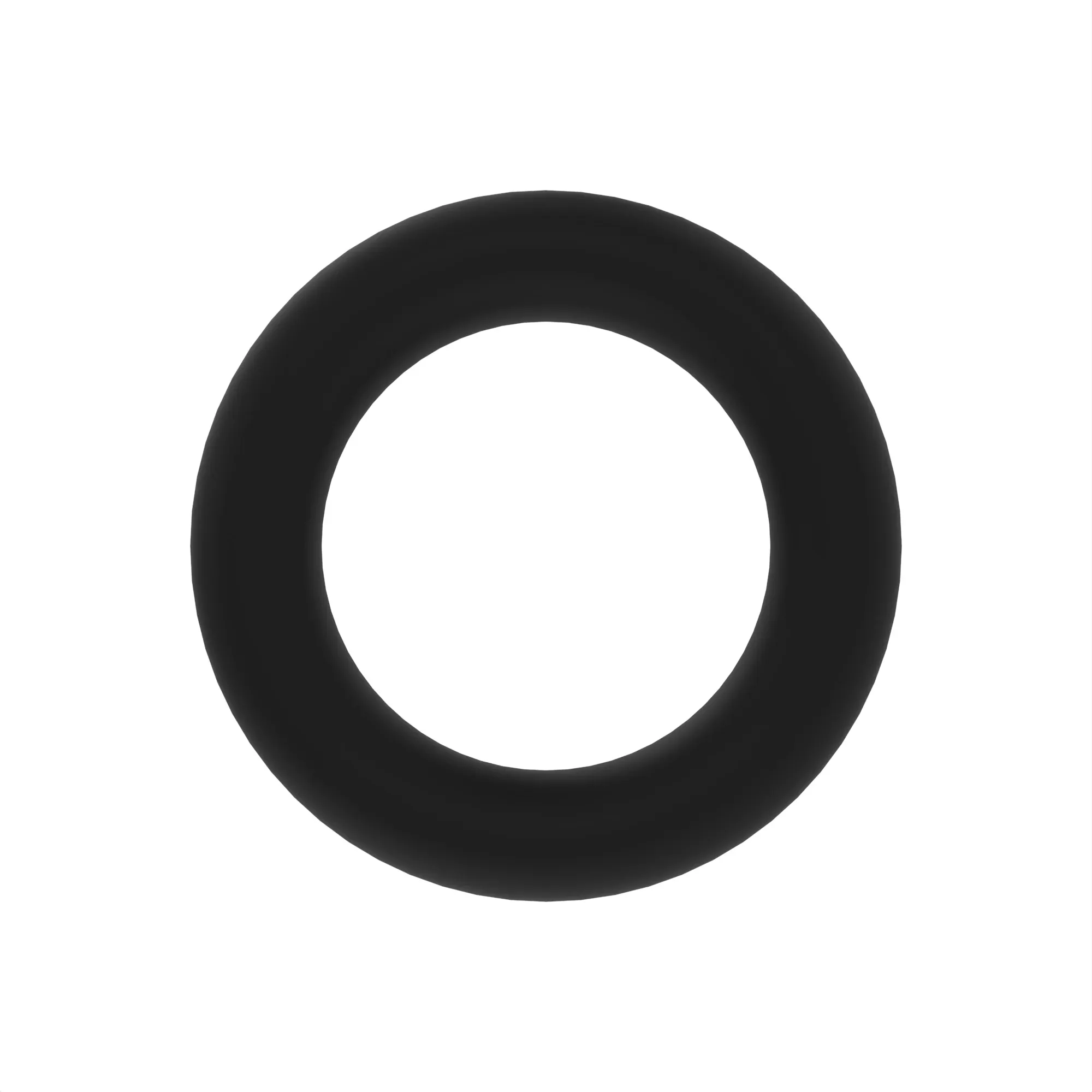 O-Ring