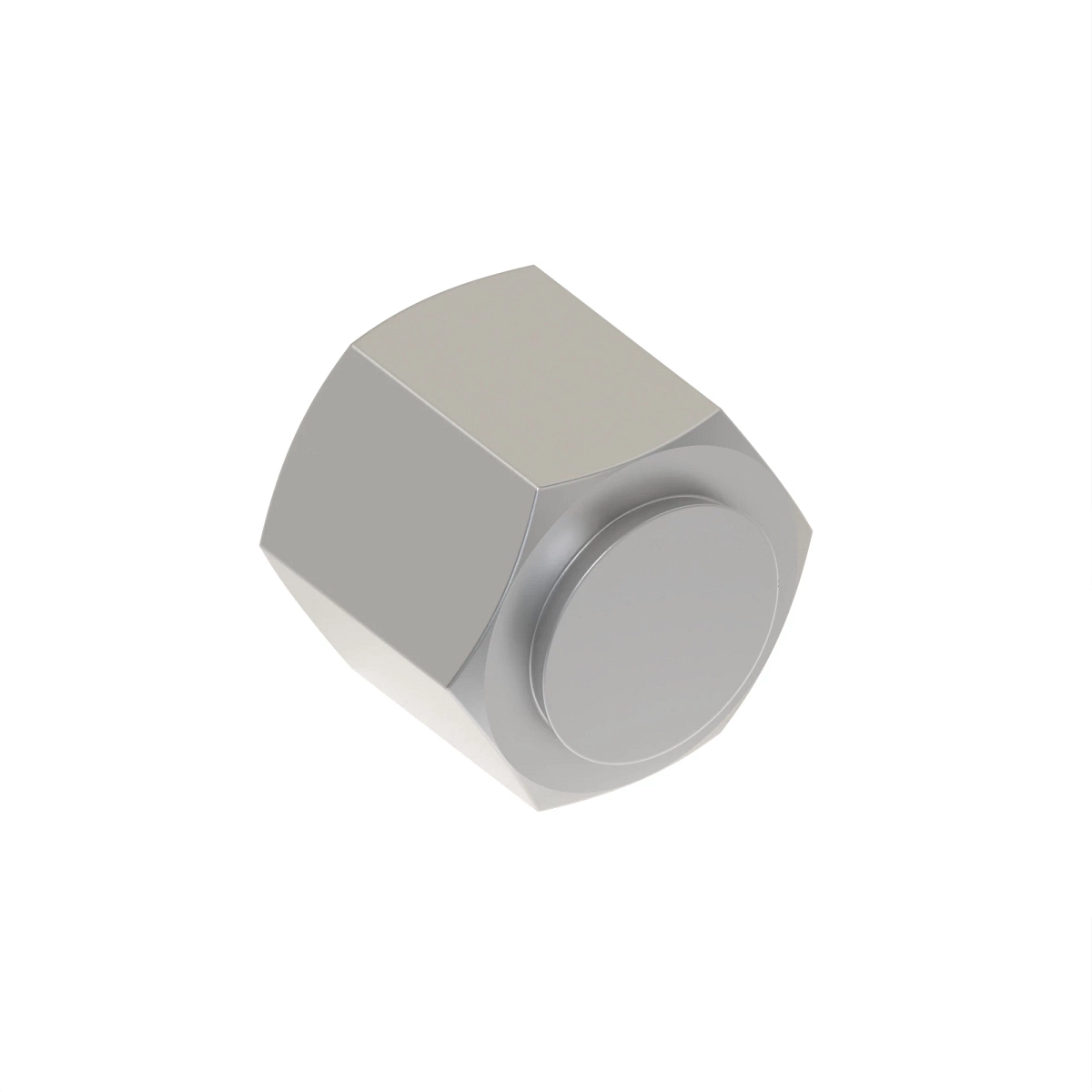 Cap Assembly, O-Ring FSF