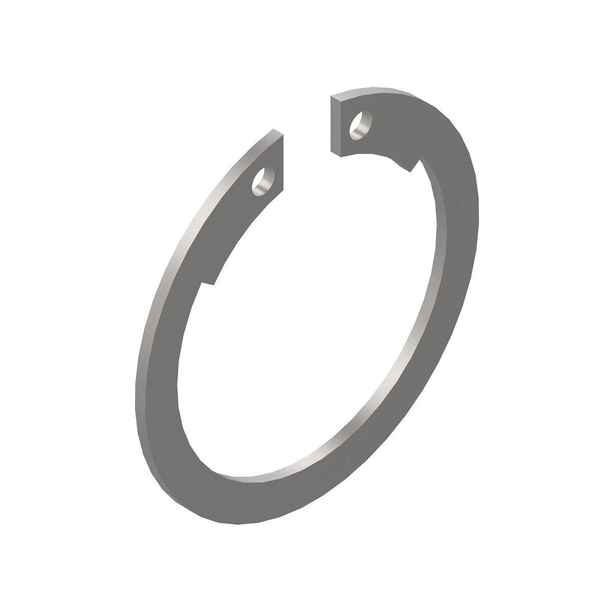 Snap Ring