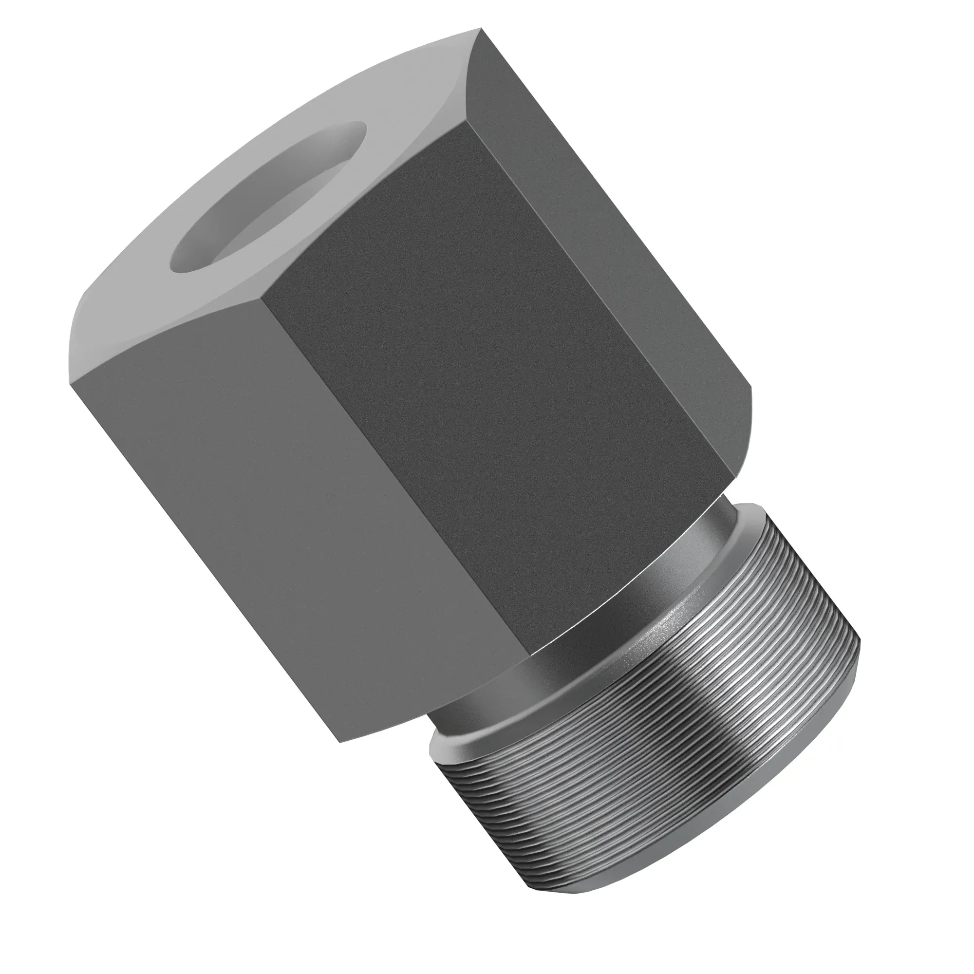 Fitting Plug