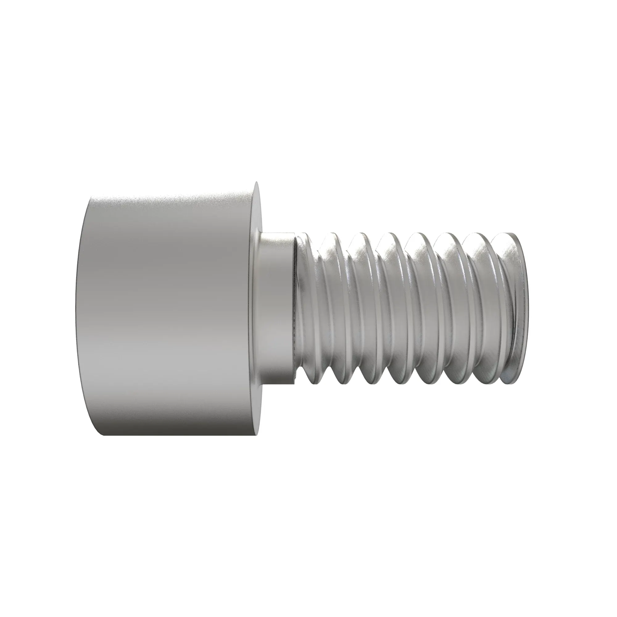 Screw