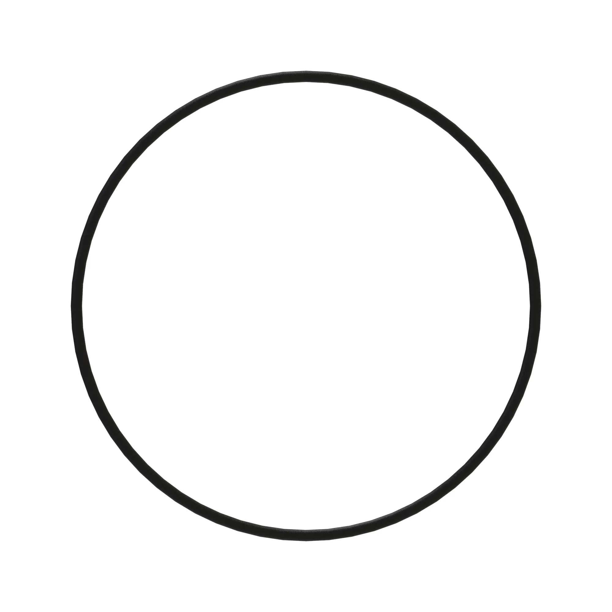 O-Ring
