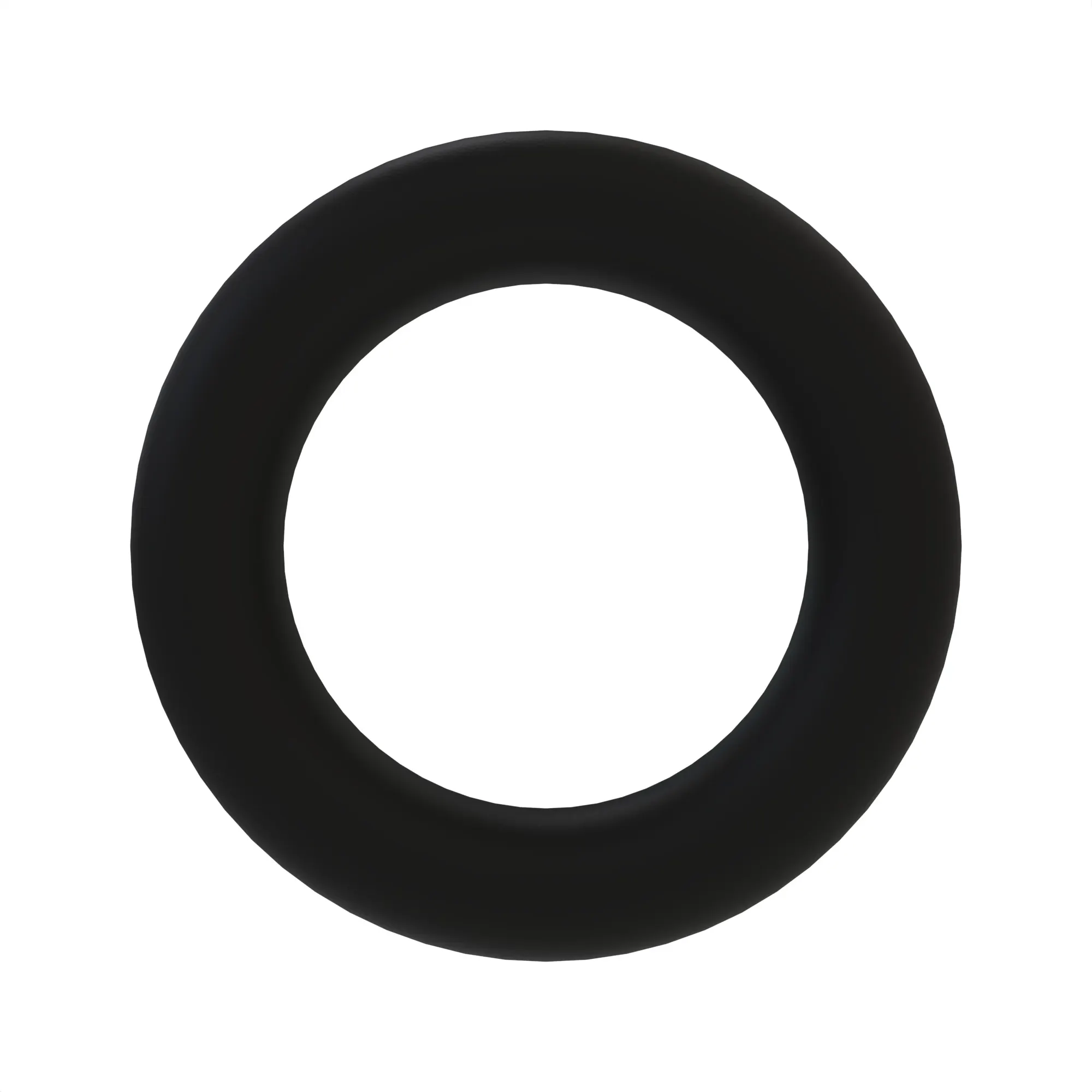 O-RING