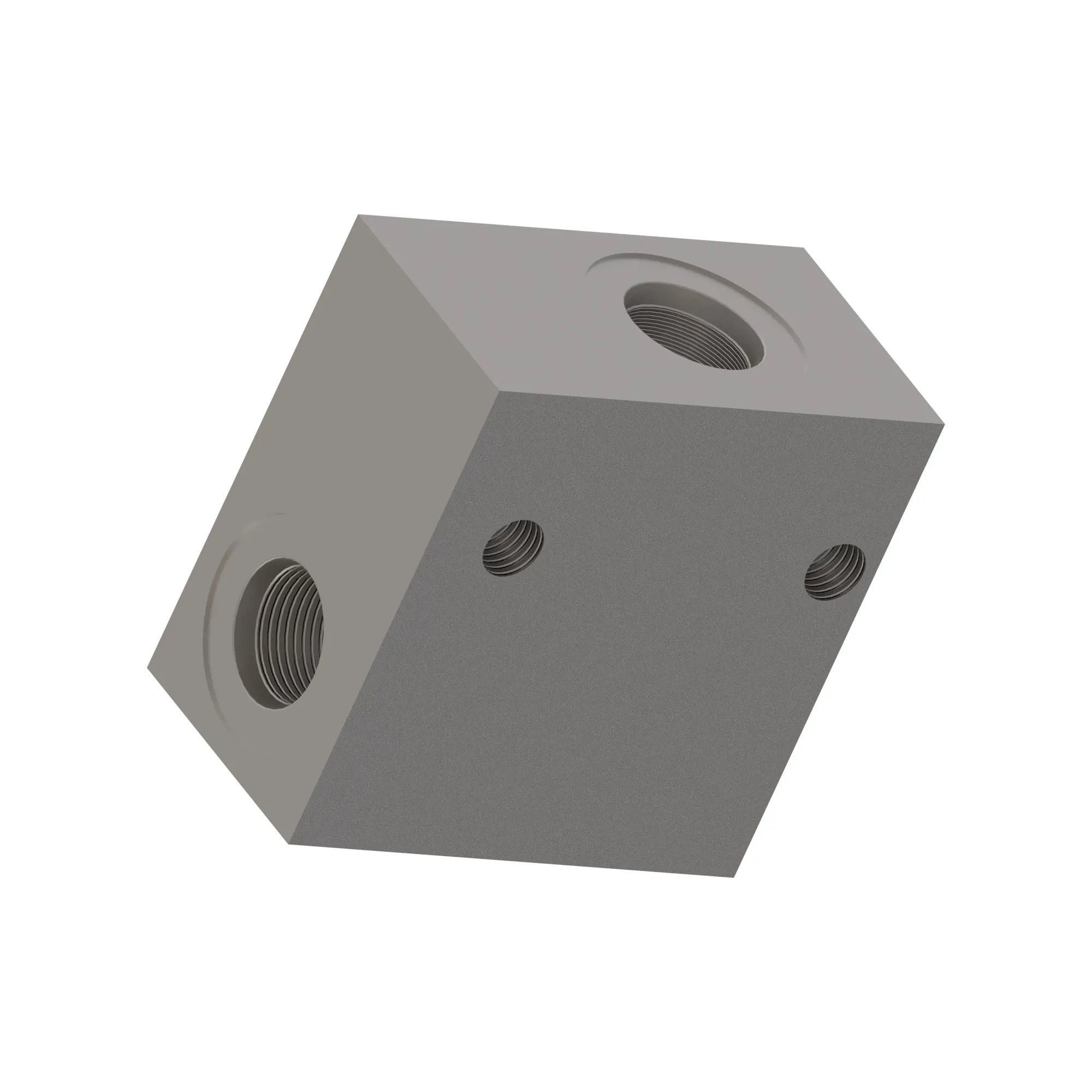 Manifold