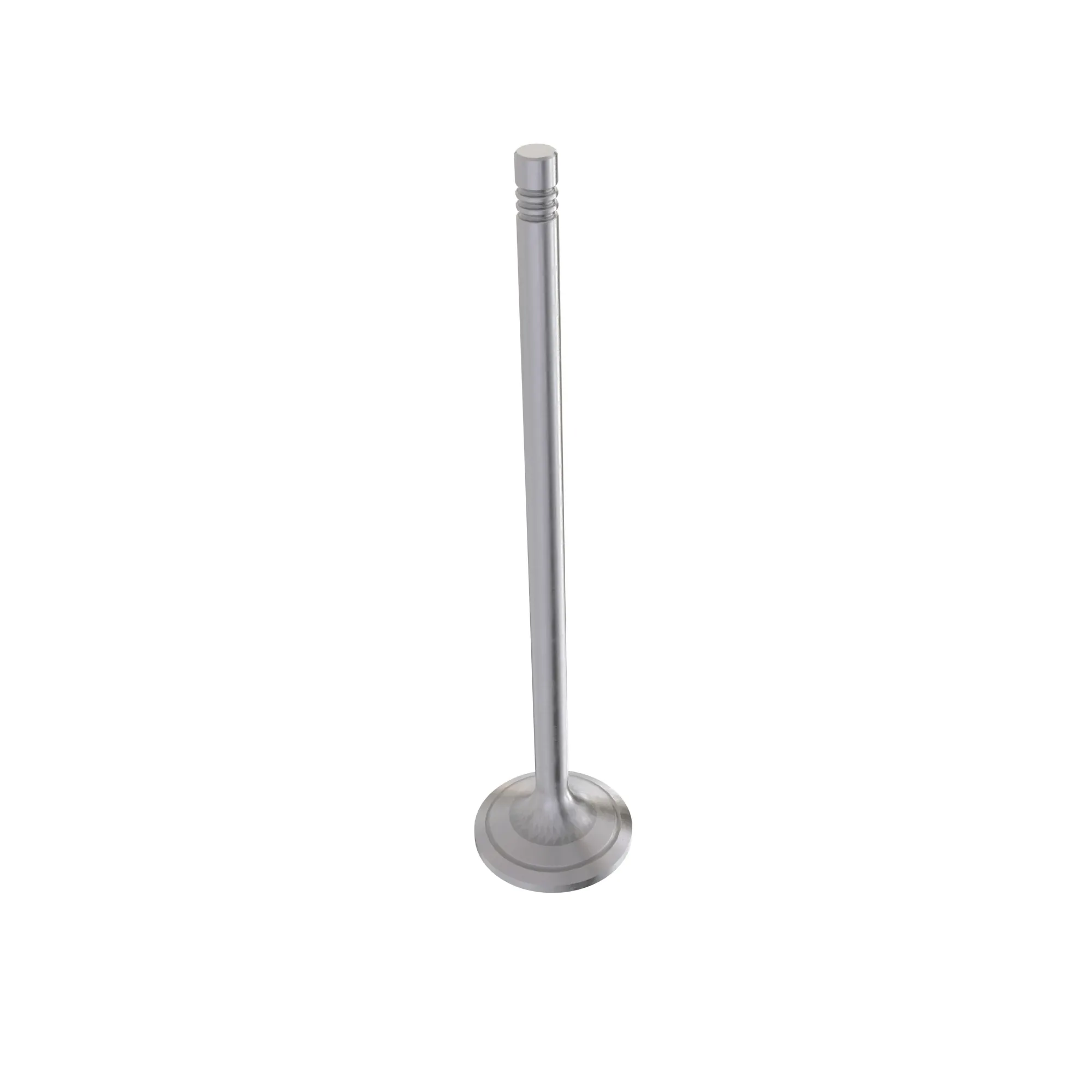 Intake Valve