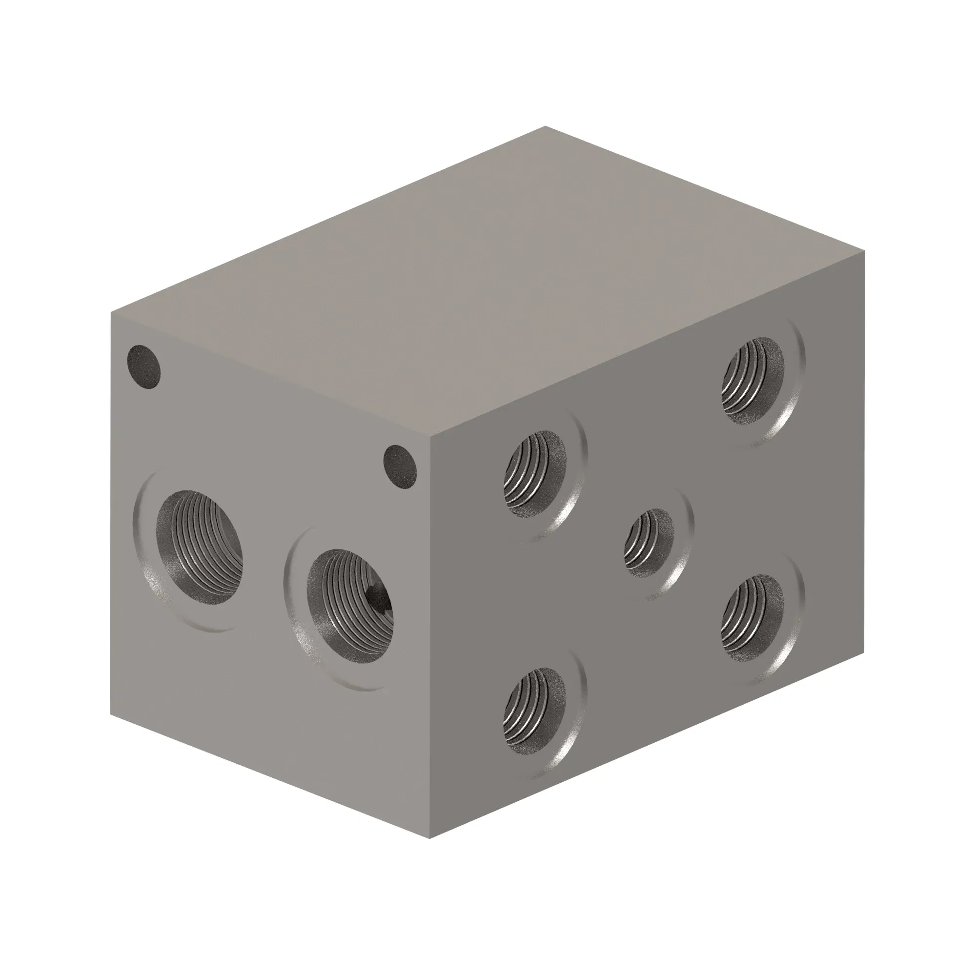 Manifold