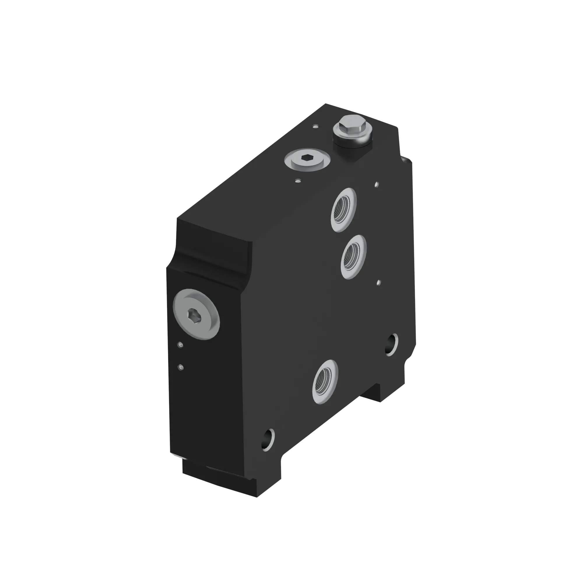 ENDCAP SECTION IBC EH CONTROL VALVE