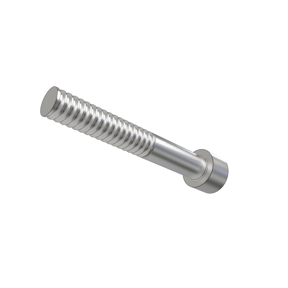 Screw, Hex Socket Head, Metric