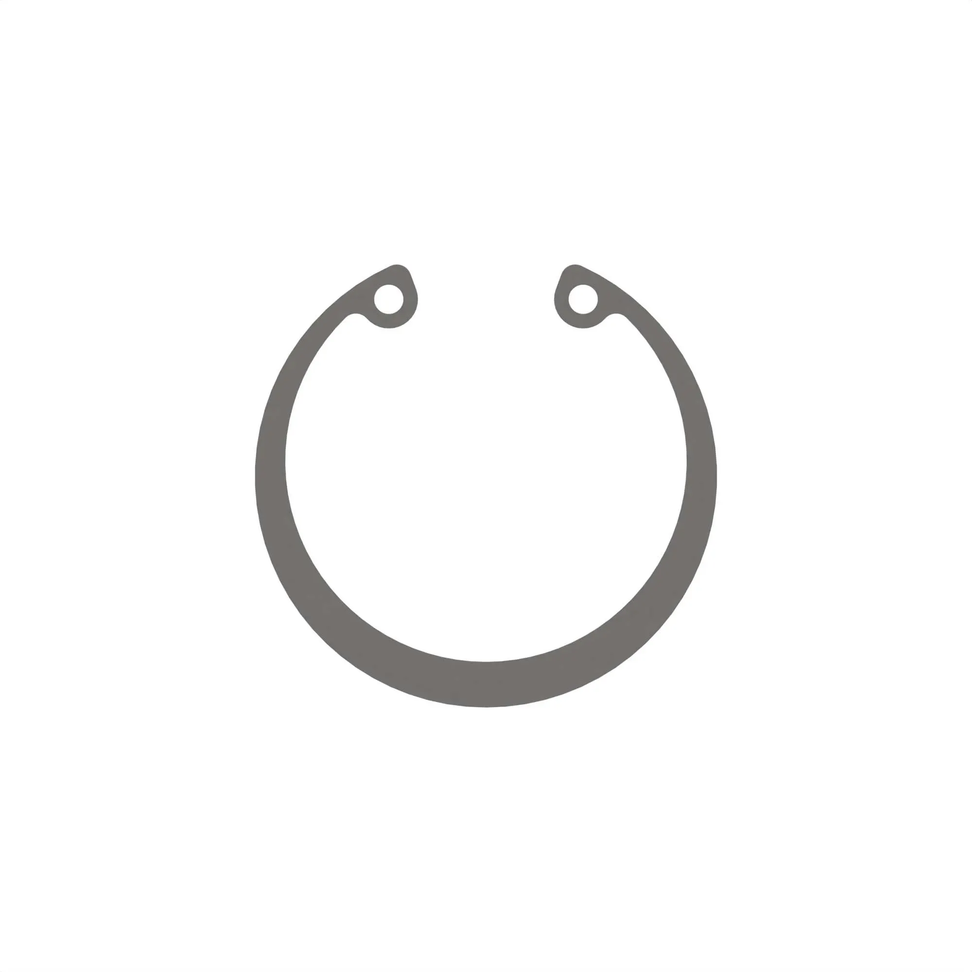 SNPA RING FOR HOLE