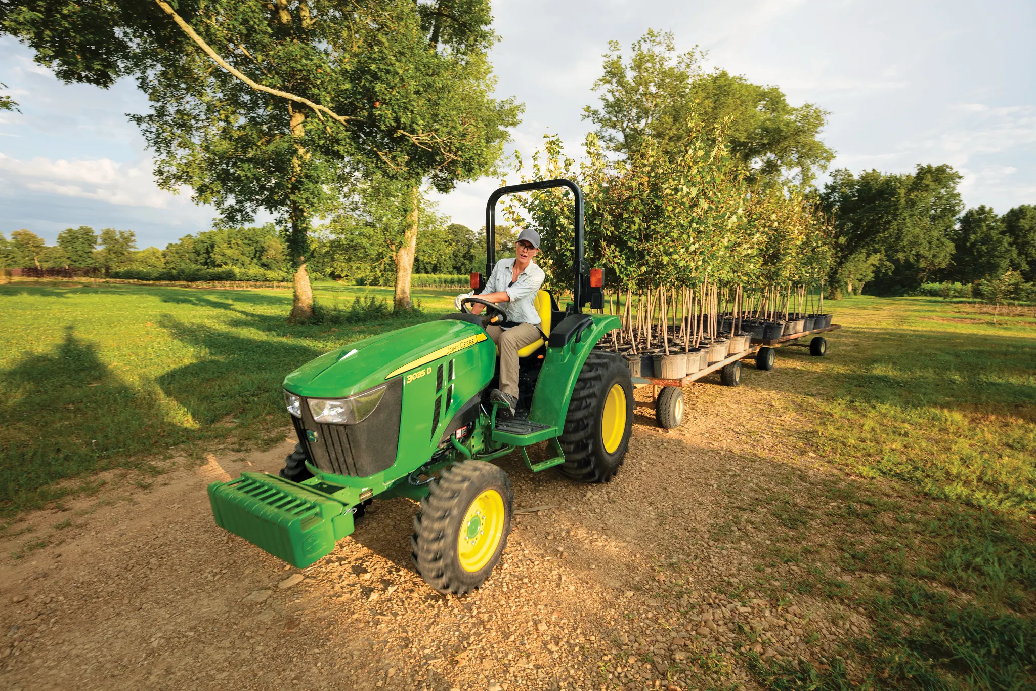 Green tractor driven along a dirt path through a grassy rural field, pulling flatbed trailers loaded with small trees, with scattered trees and soft sunlight in the background