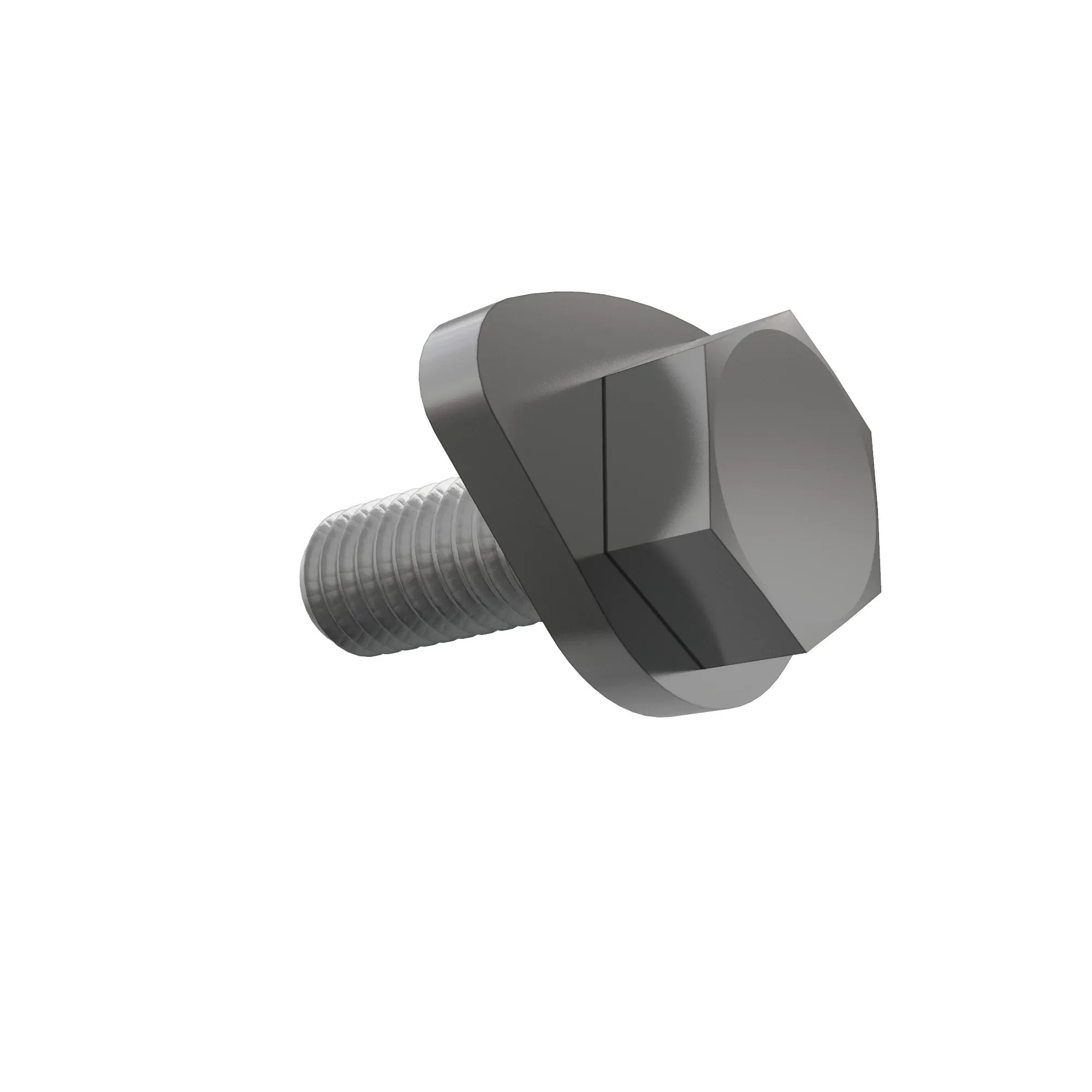 SCREW WITH WASHER