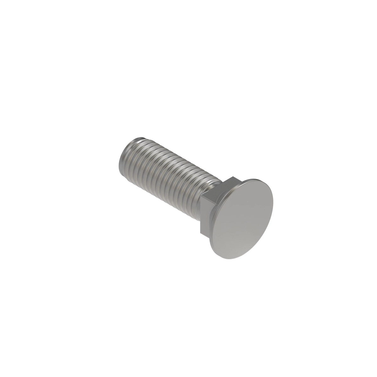 Bolt, Ctsk Sq Neck, Metric