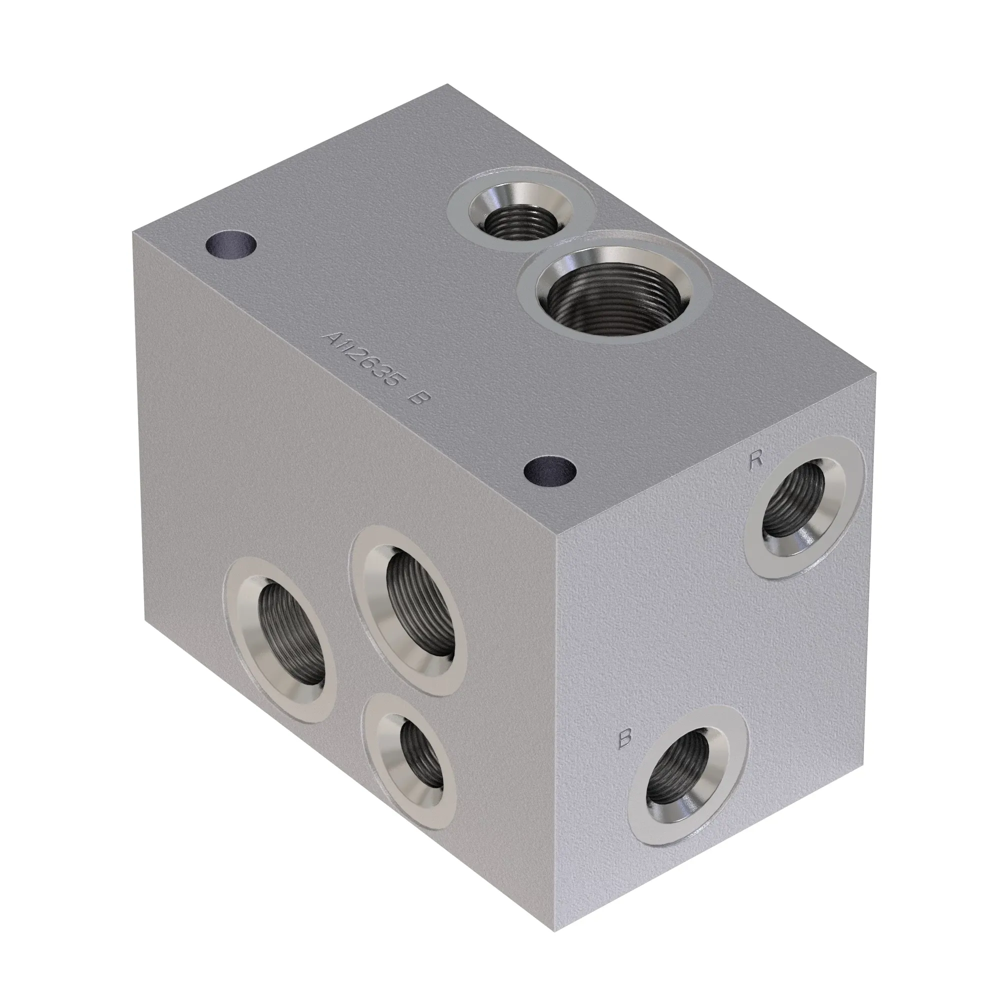 Manifold