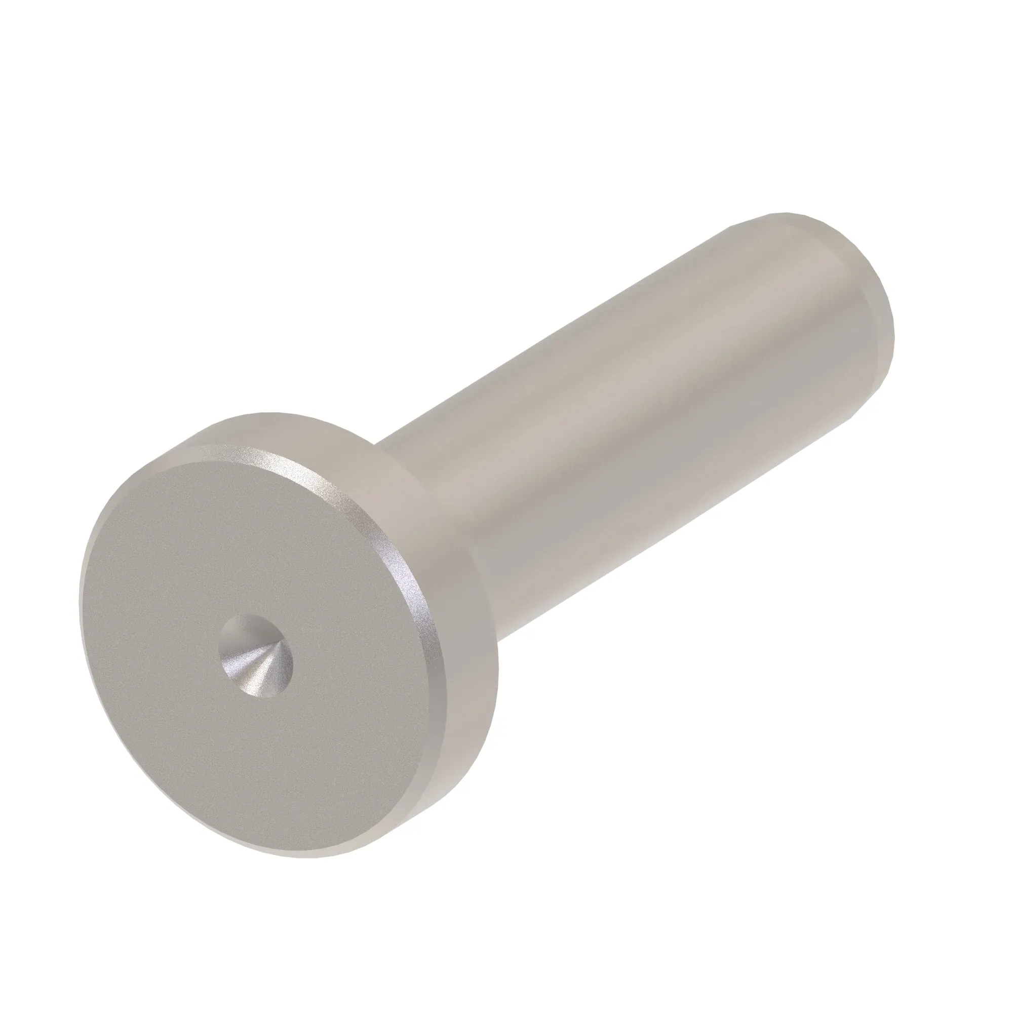 Plunger
