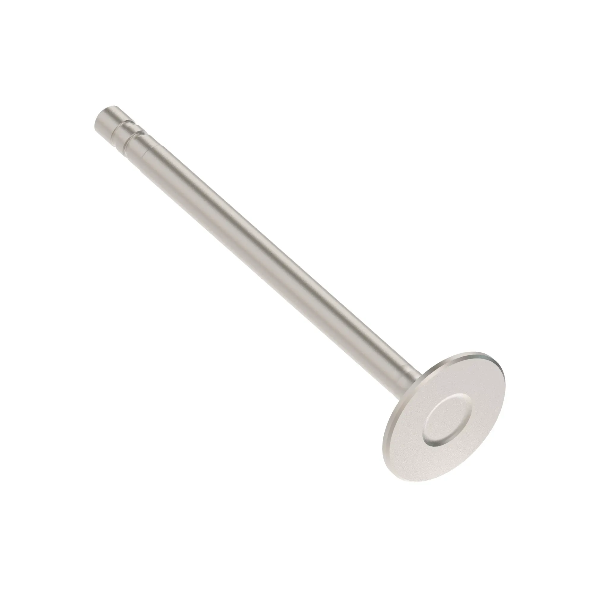Intake Valve