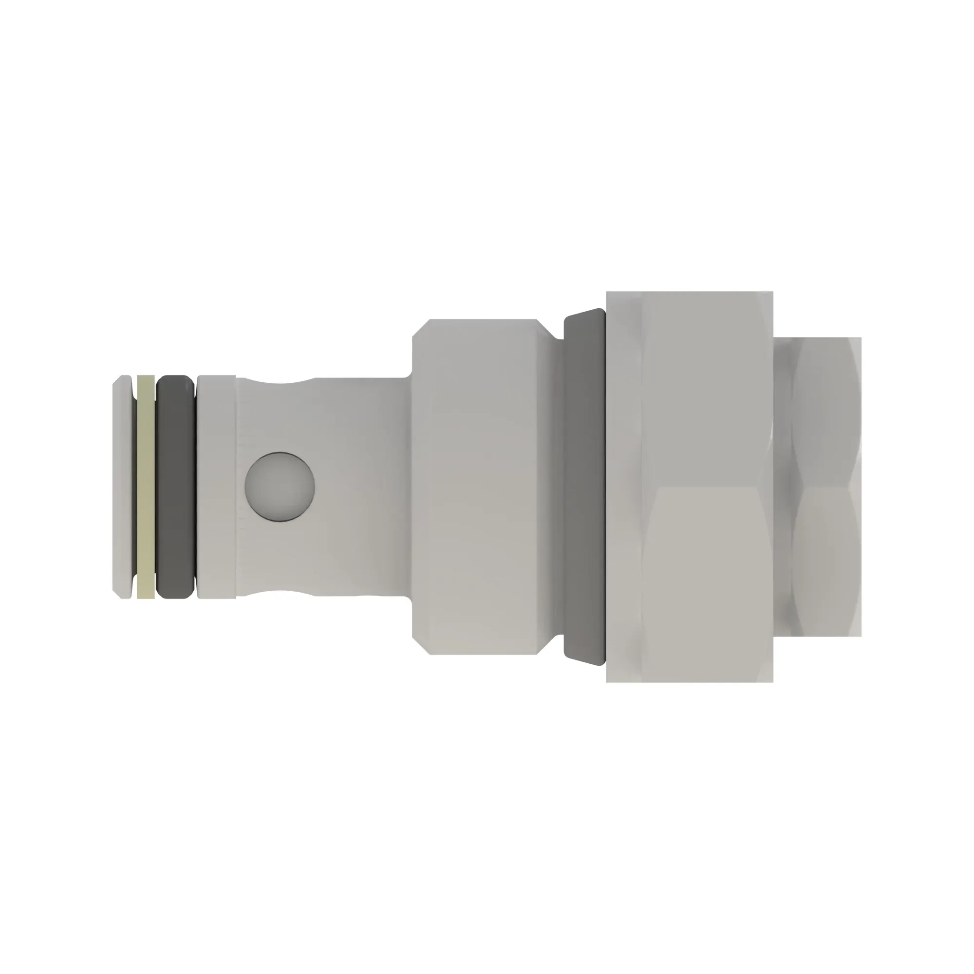 Check Valve