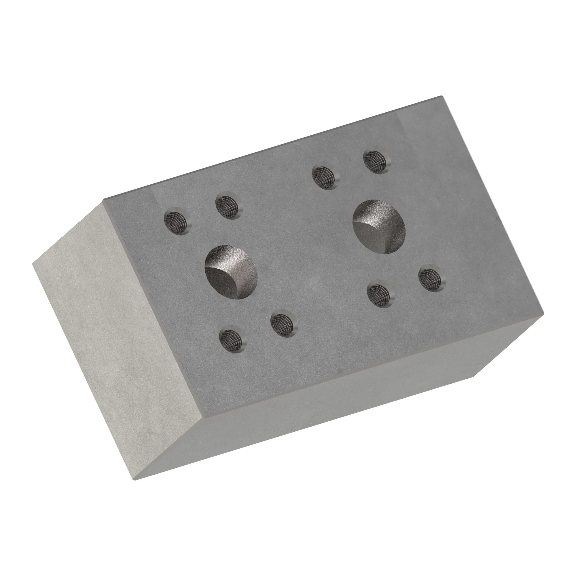 Manifold
