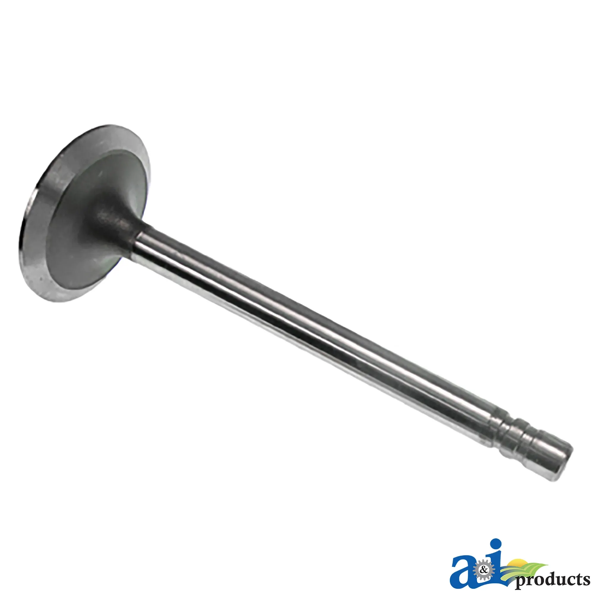 Intake Valve