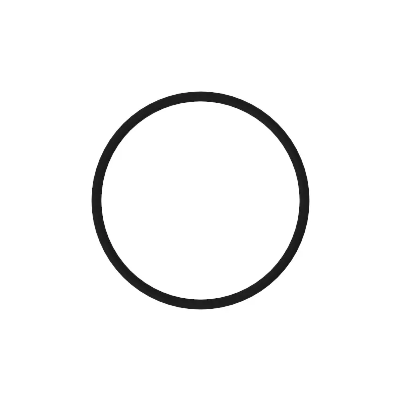 O-Ring