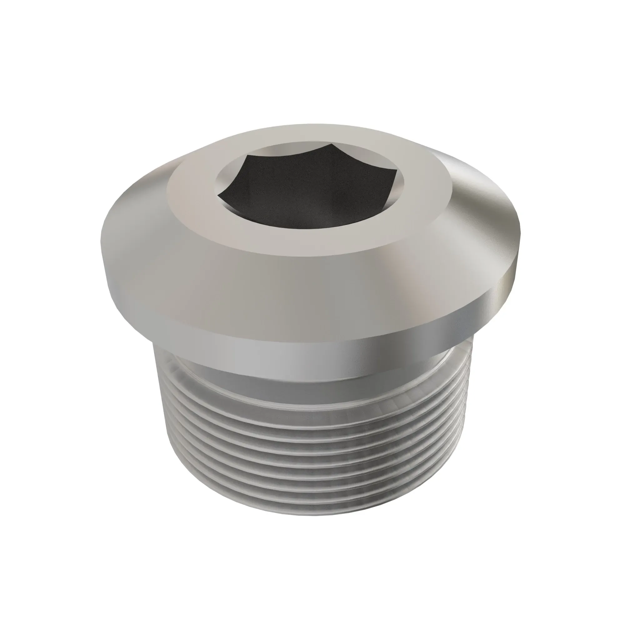 Pipe Plug