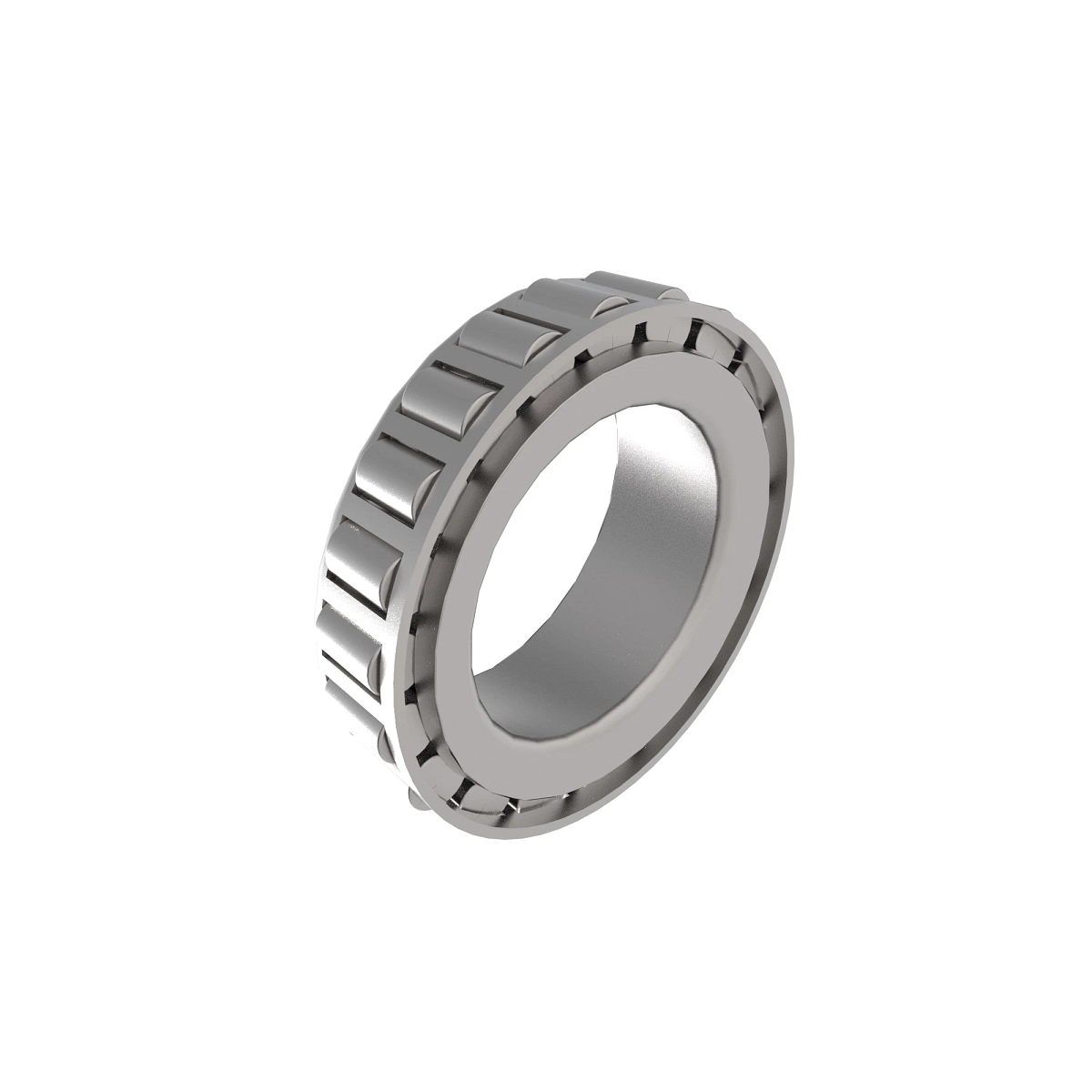Cone-Bearing