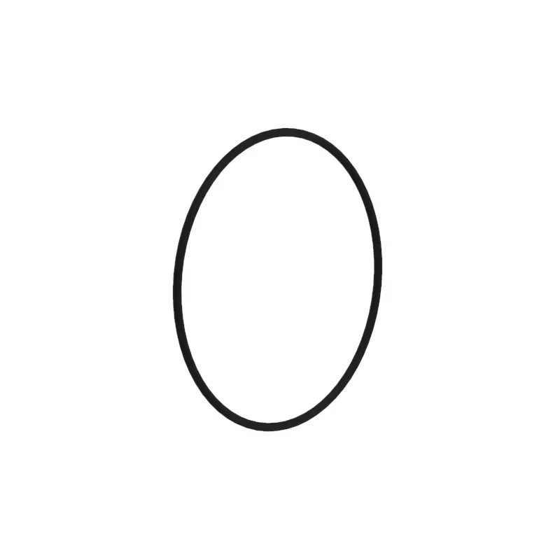 O-Ring