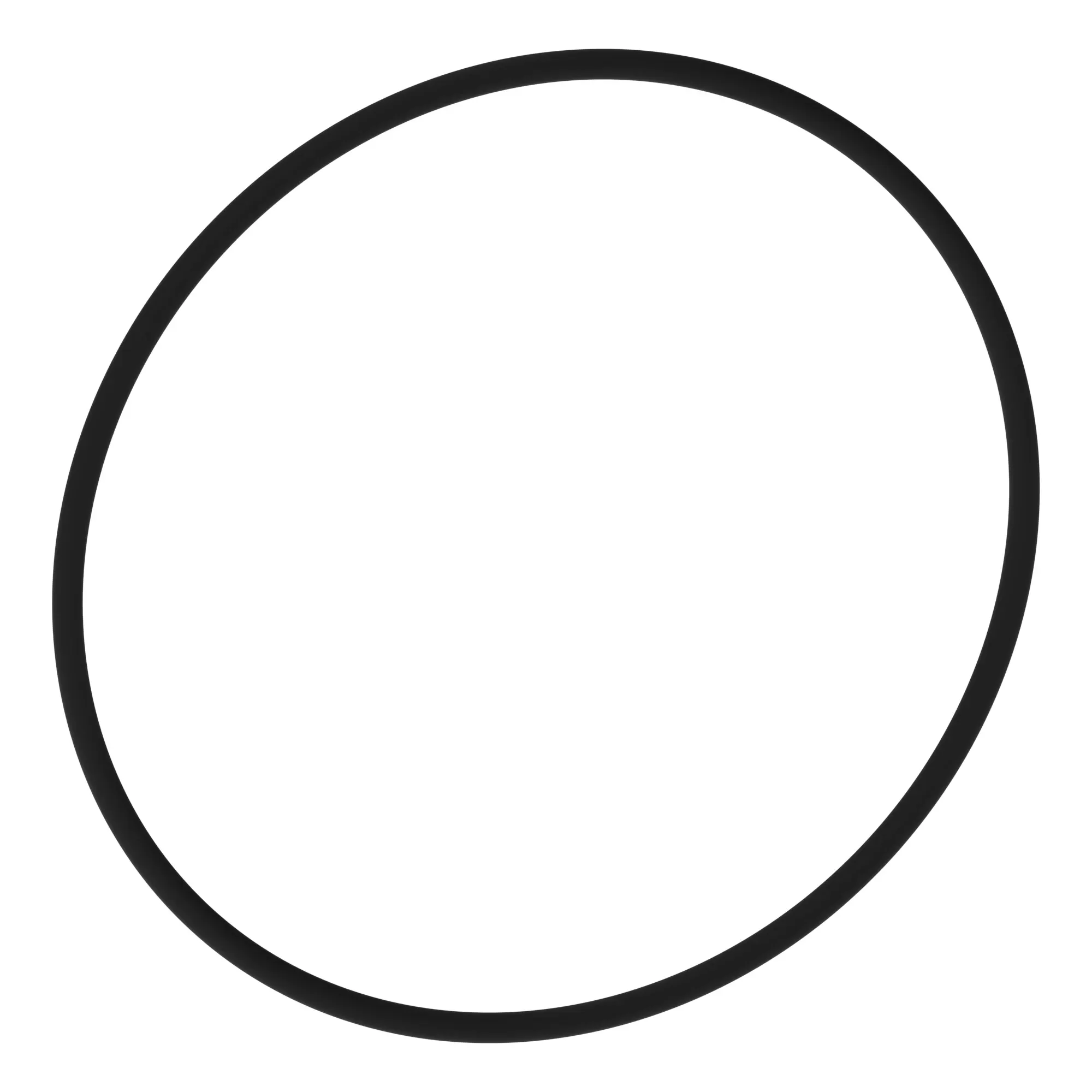 O-RING
