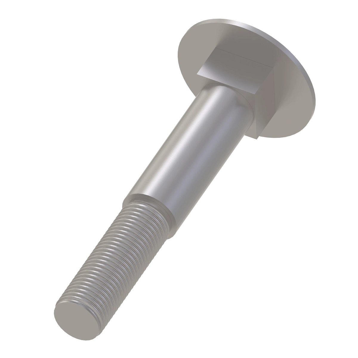 Screw
