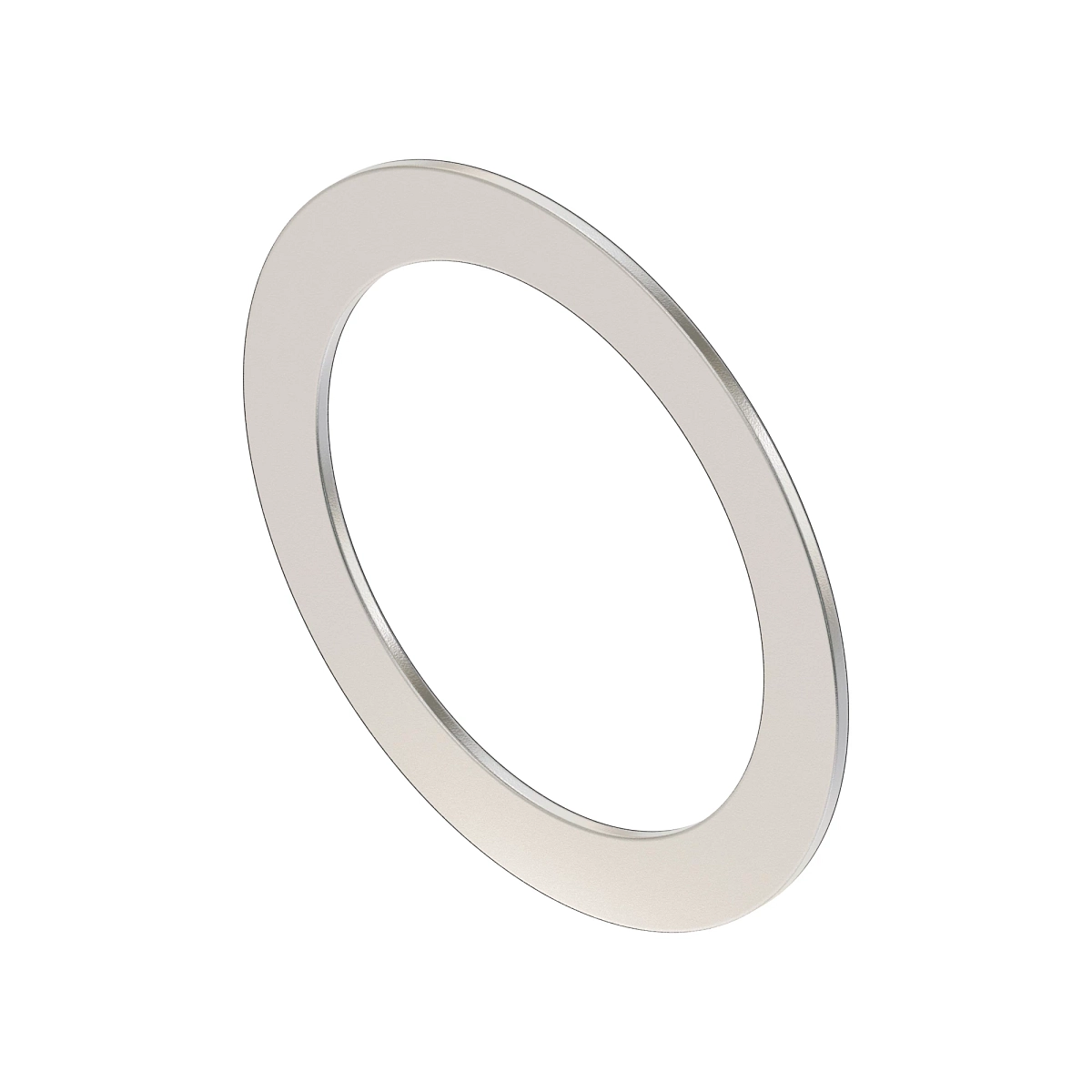 Thrust Bearing Race