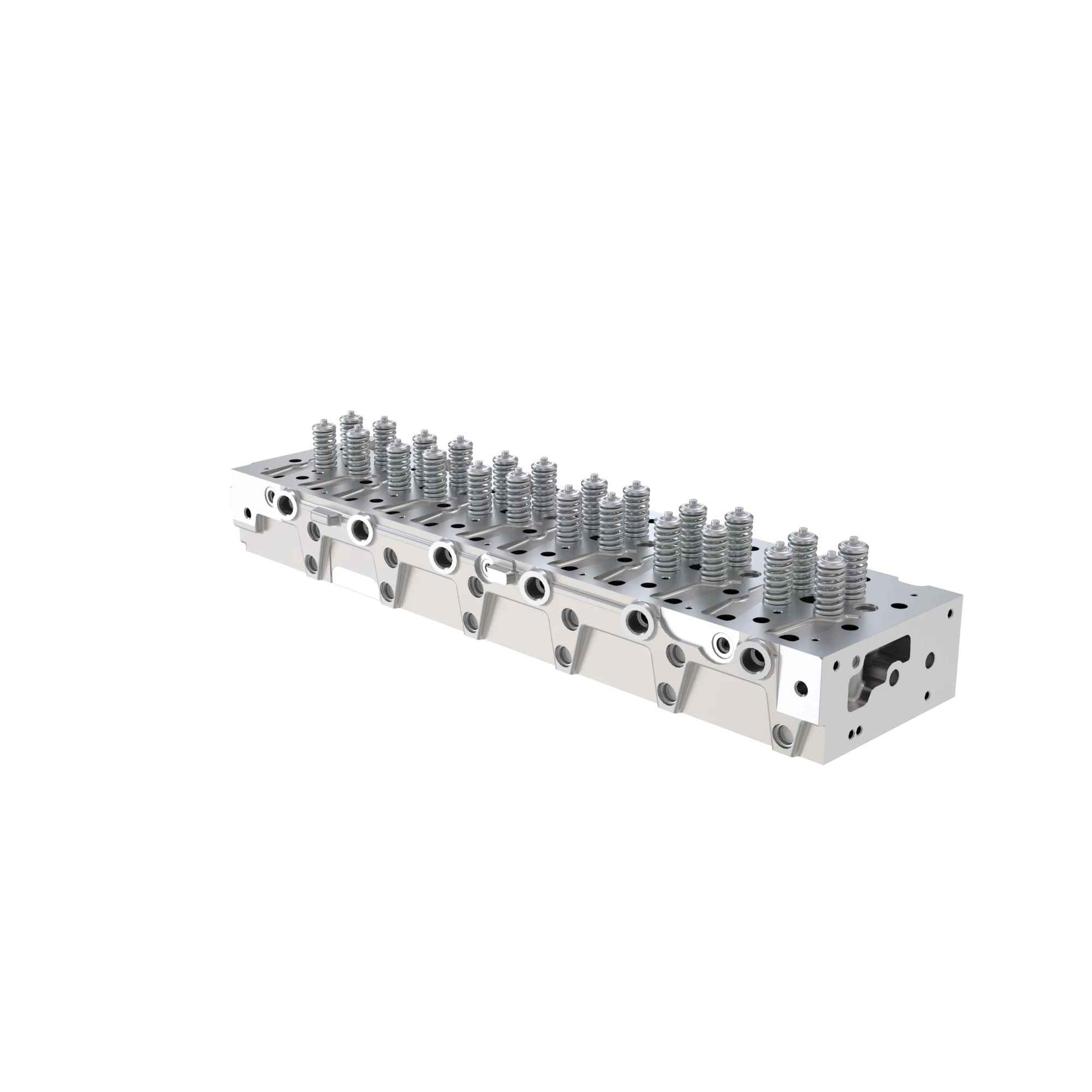 CYLINDER HEAD,ASBLY W/ VALVES (BOM1