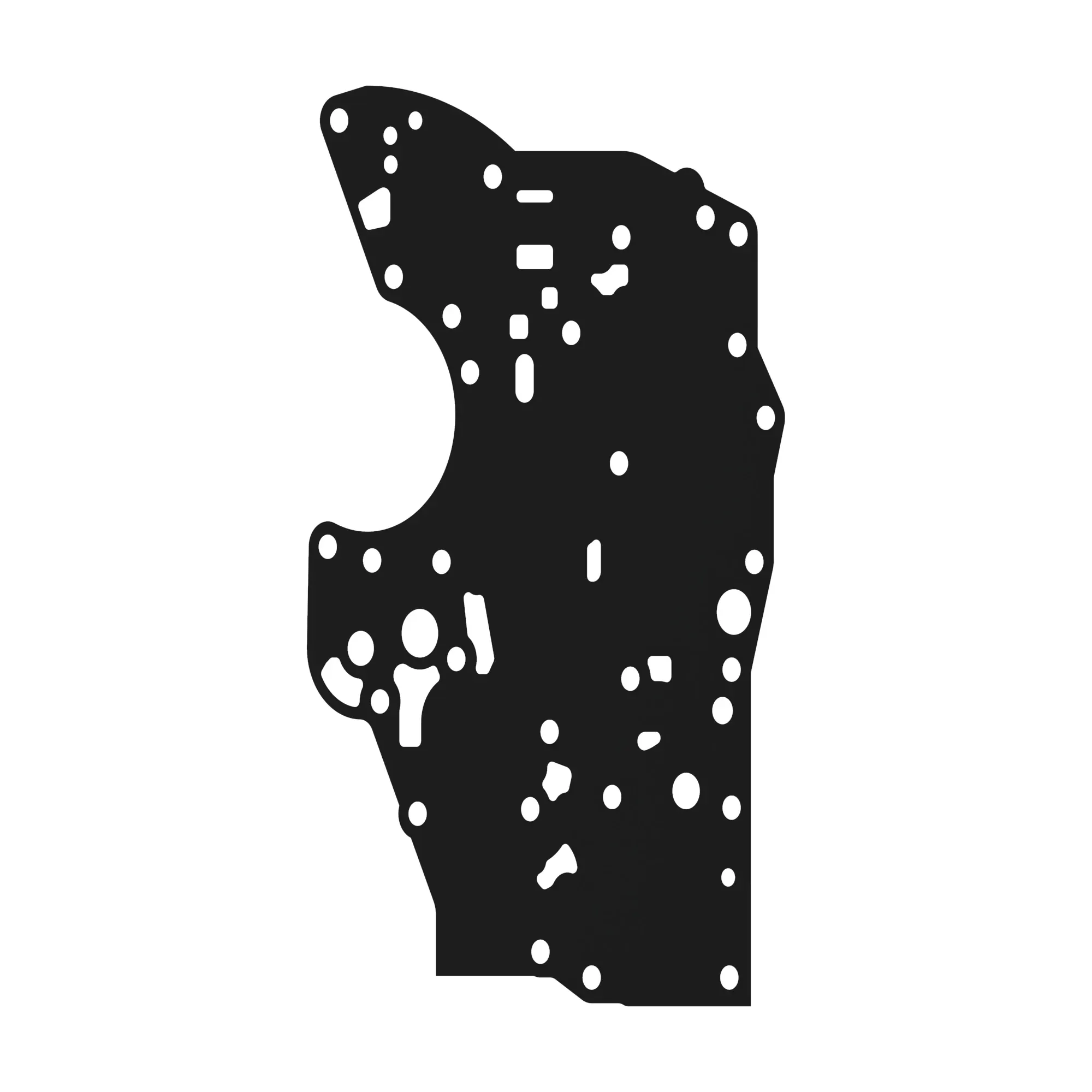 Gasket
