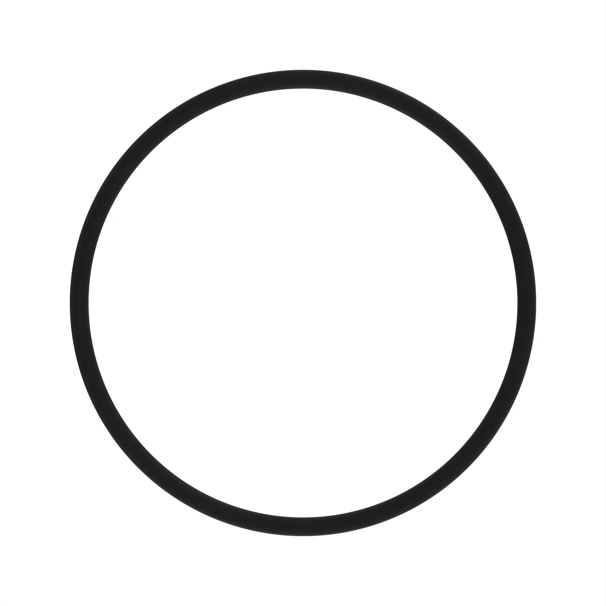 O-RING