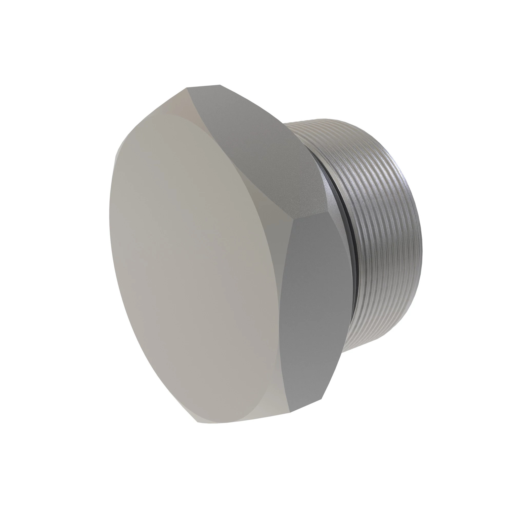 ASSEMBLY MAGNETIC PLUG WITH O-RING