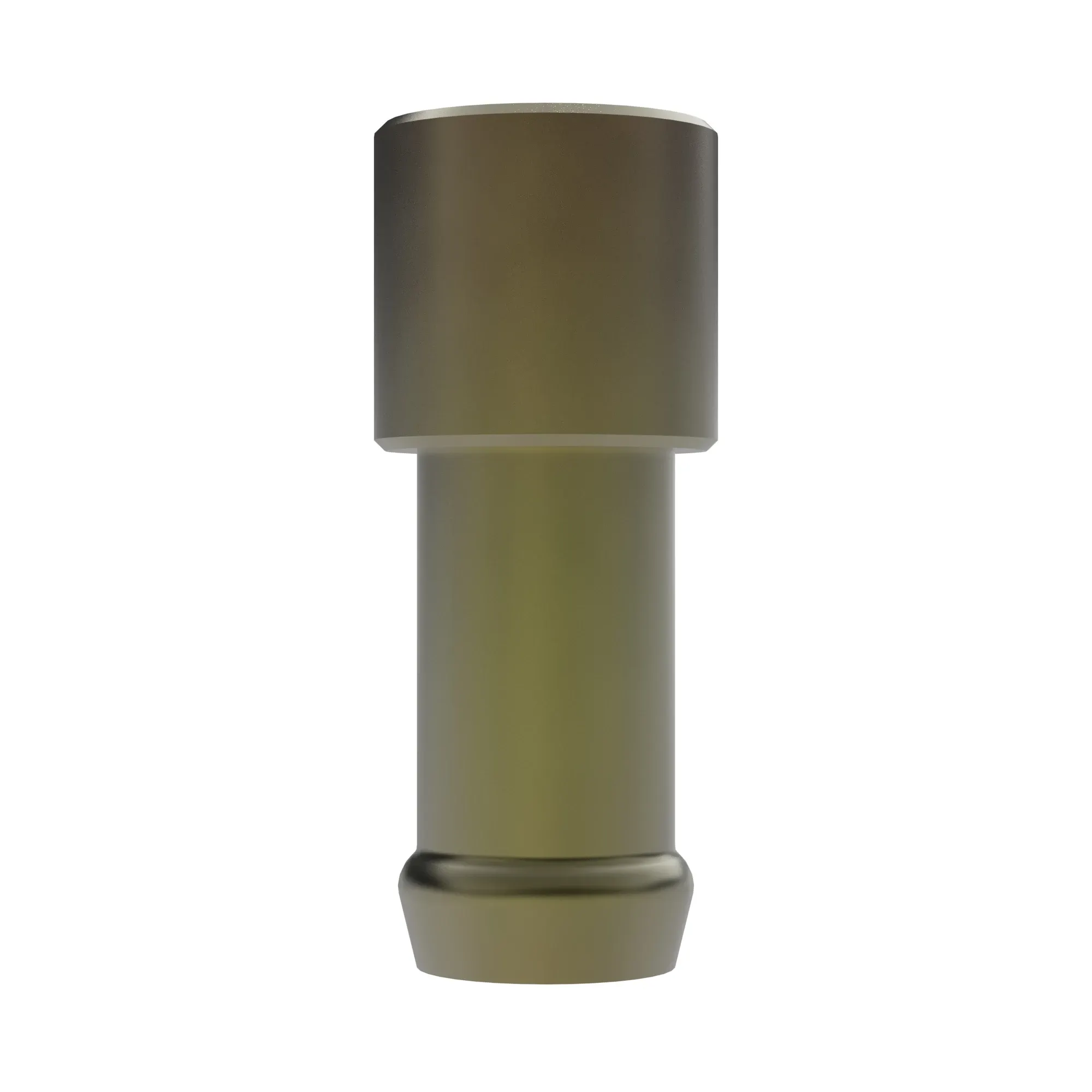 Fitting Plug