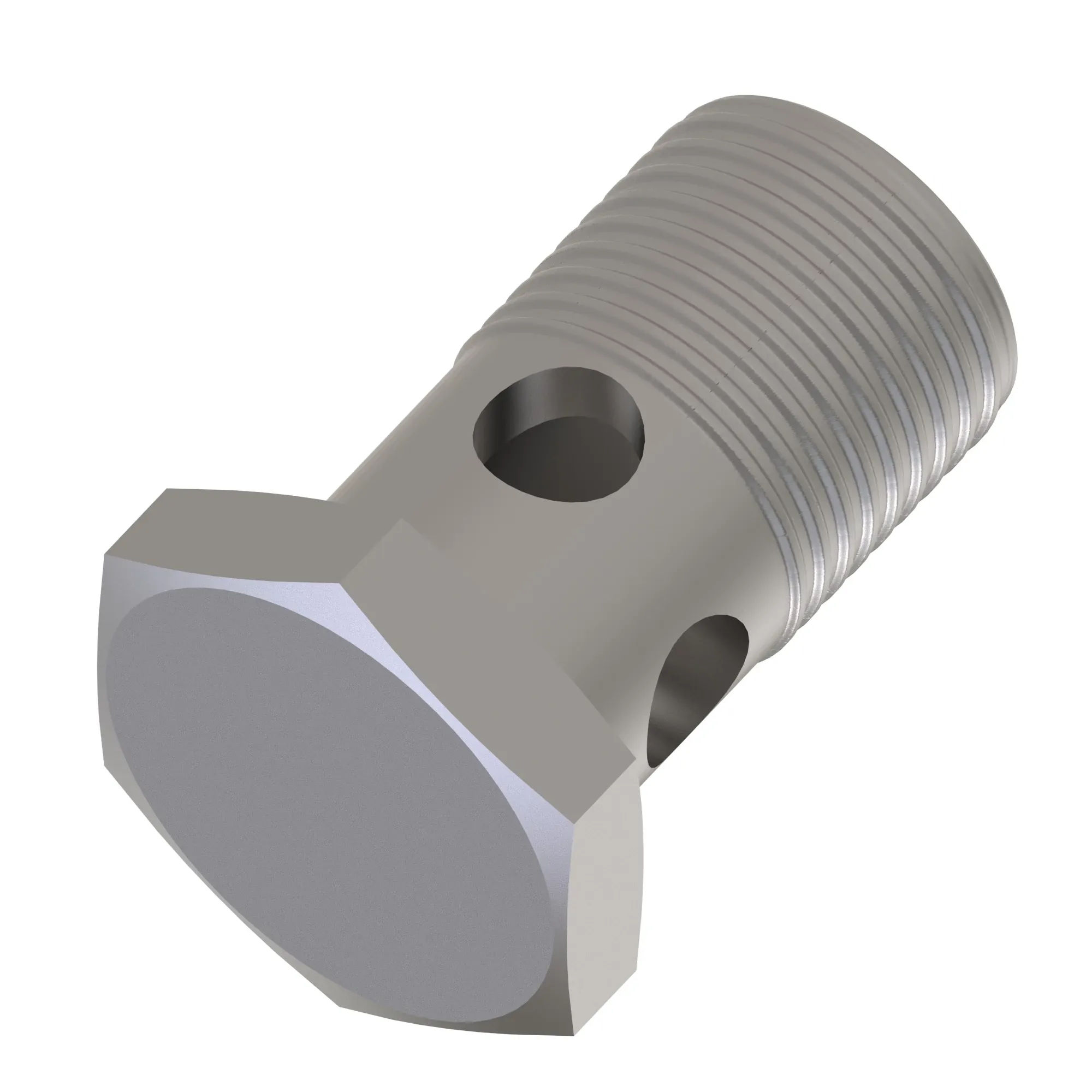 Hollow Screw