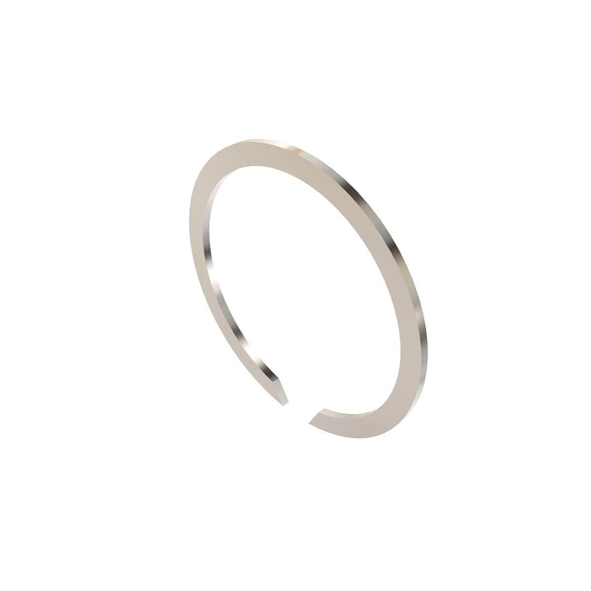 Snap Ring