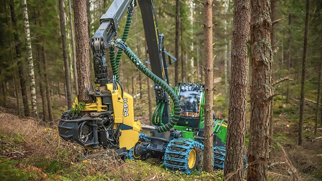 H424 Harvester Head delimbing a tree in the forest