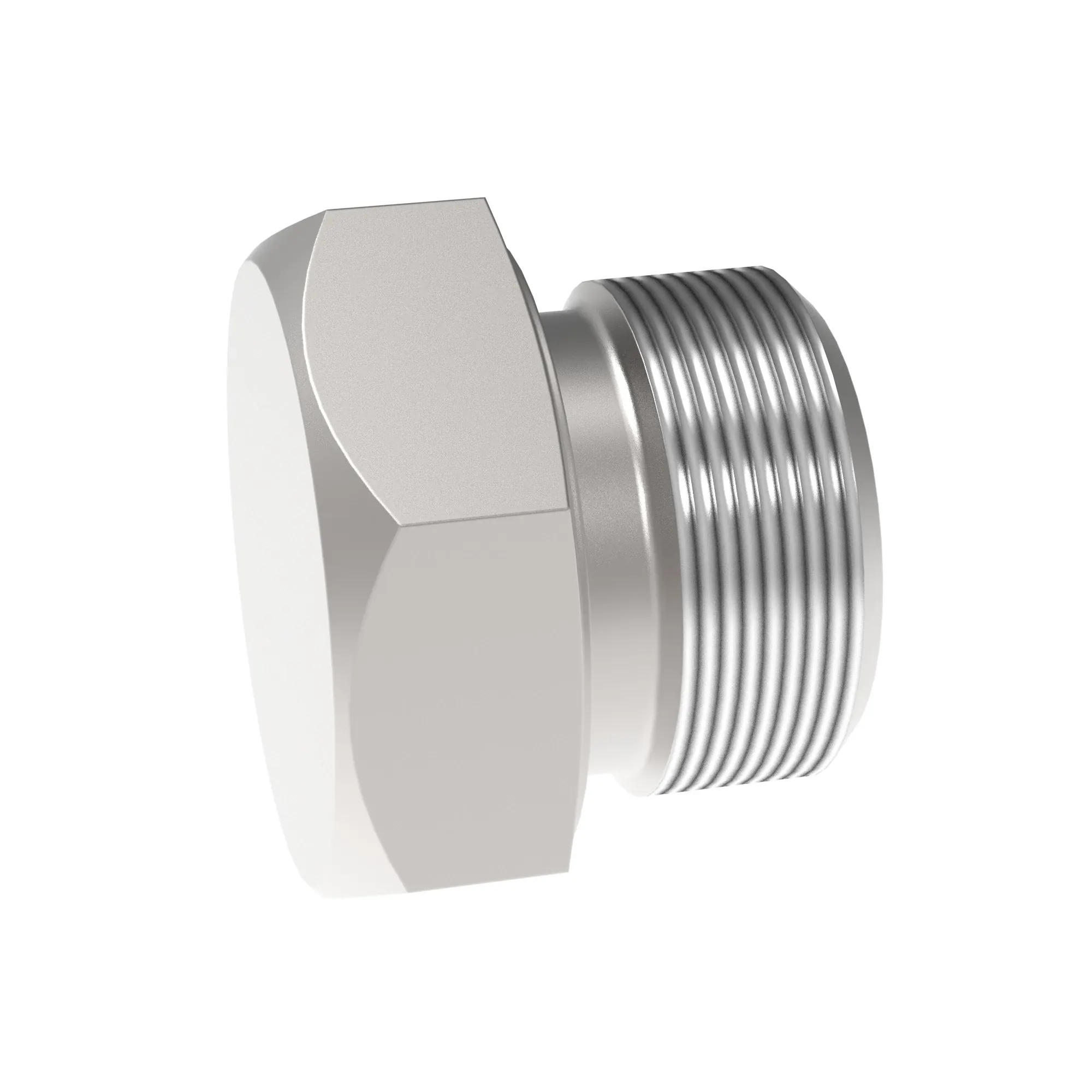 Fitting Plug