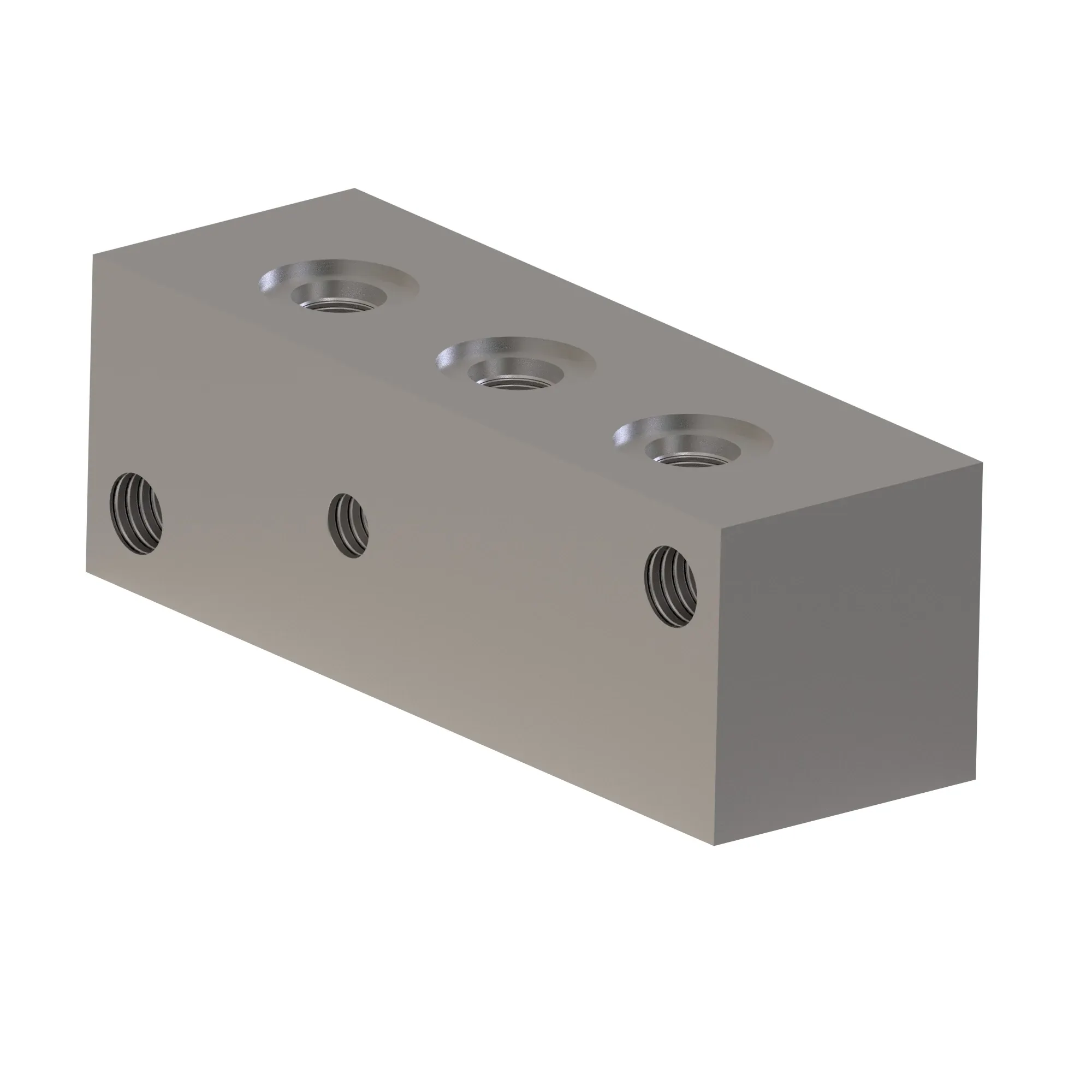Manifold