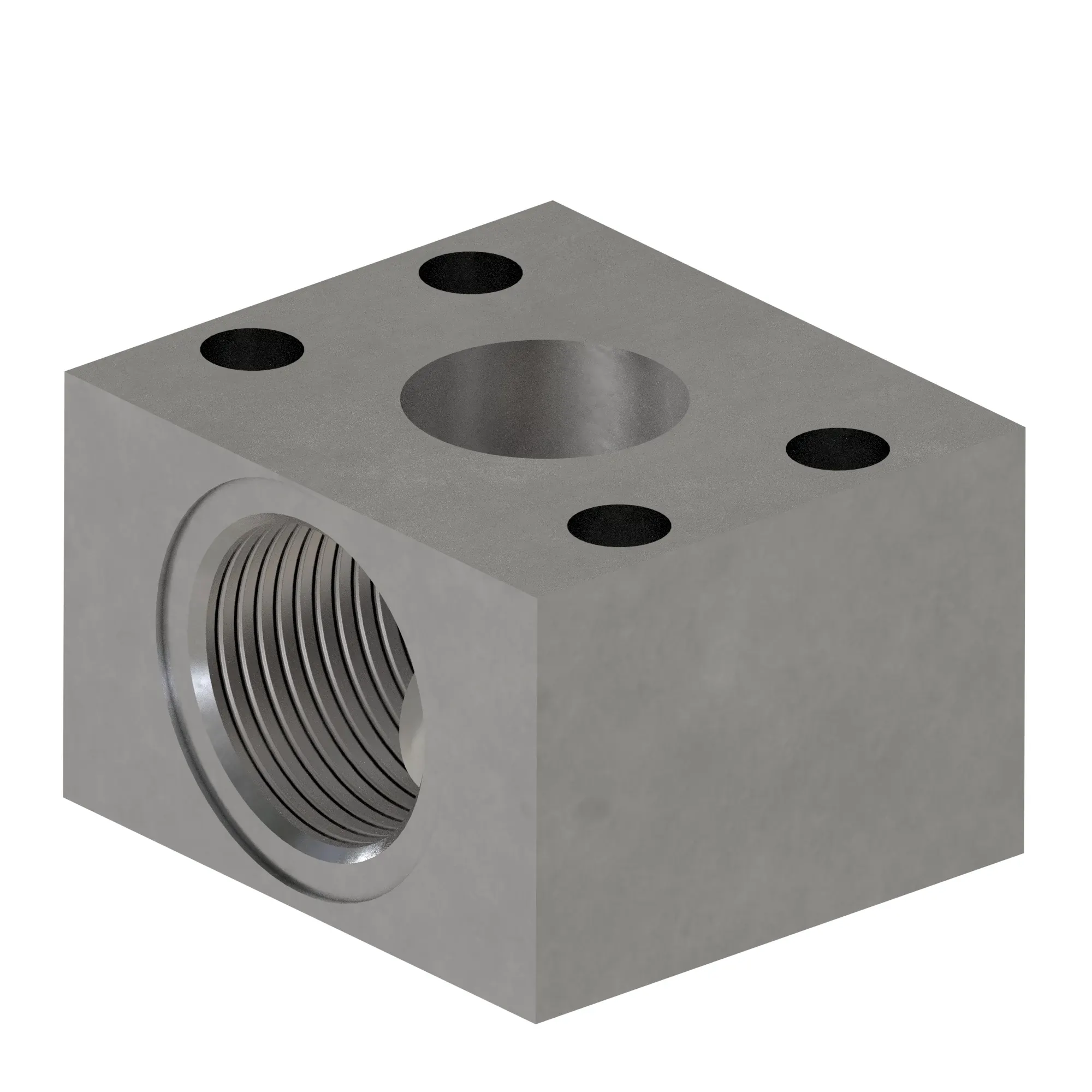 Manifold