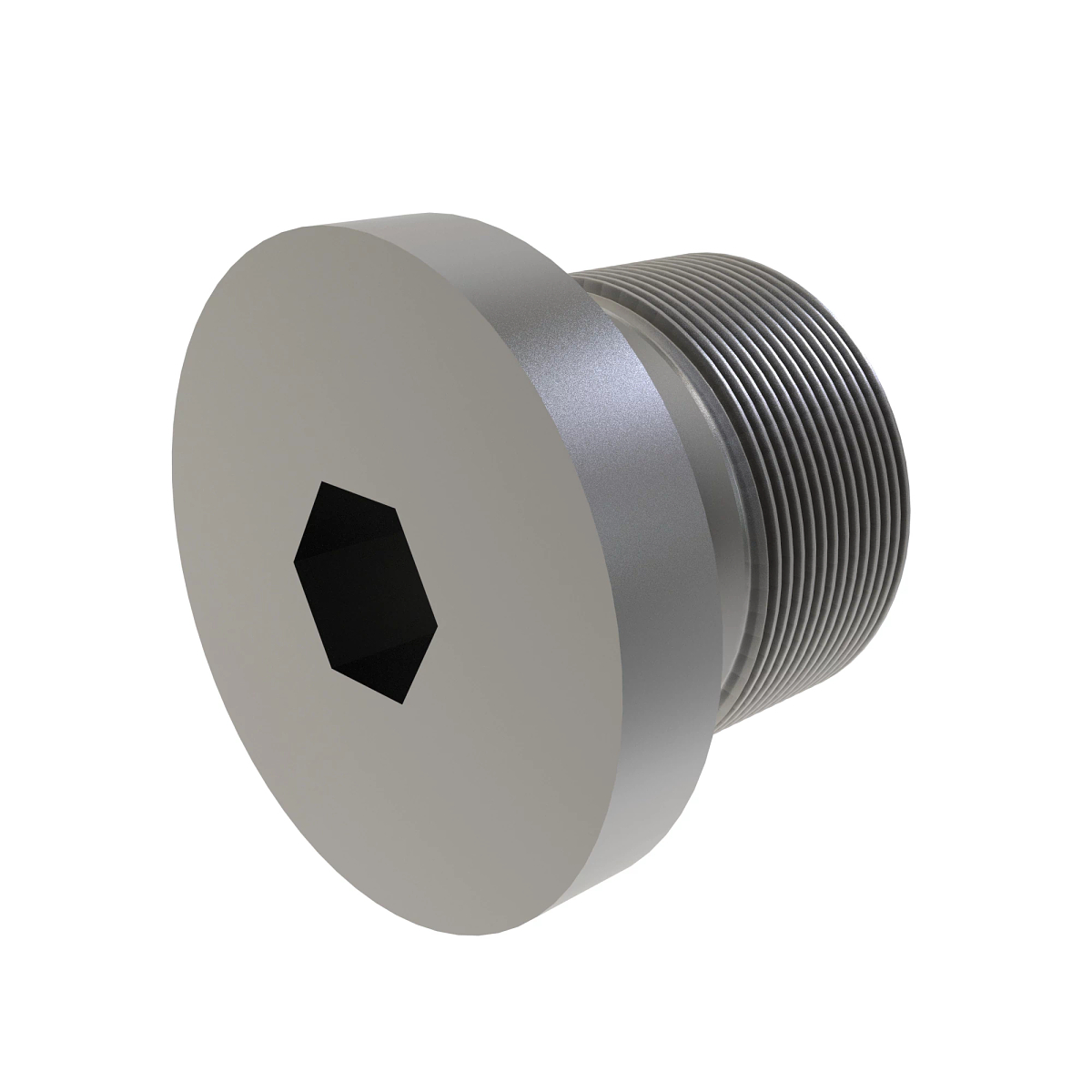 PLUG ASSEMBLY