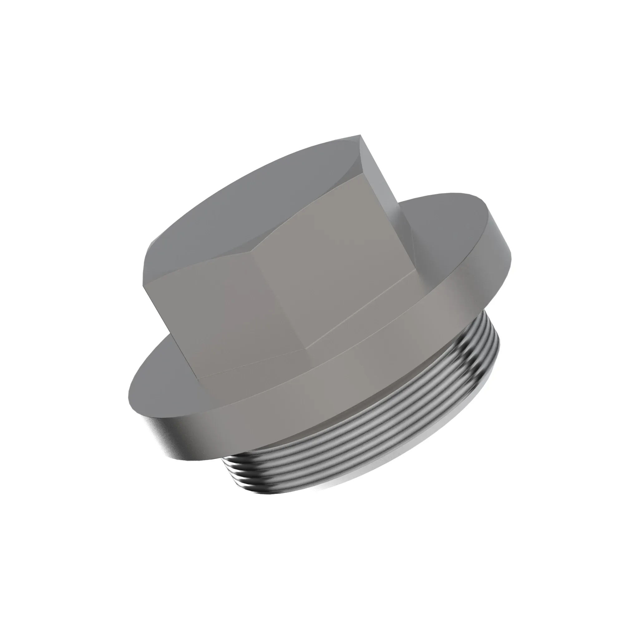 Fitting Plug