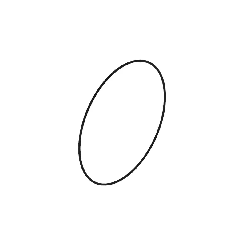 O-Ring