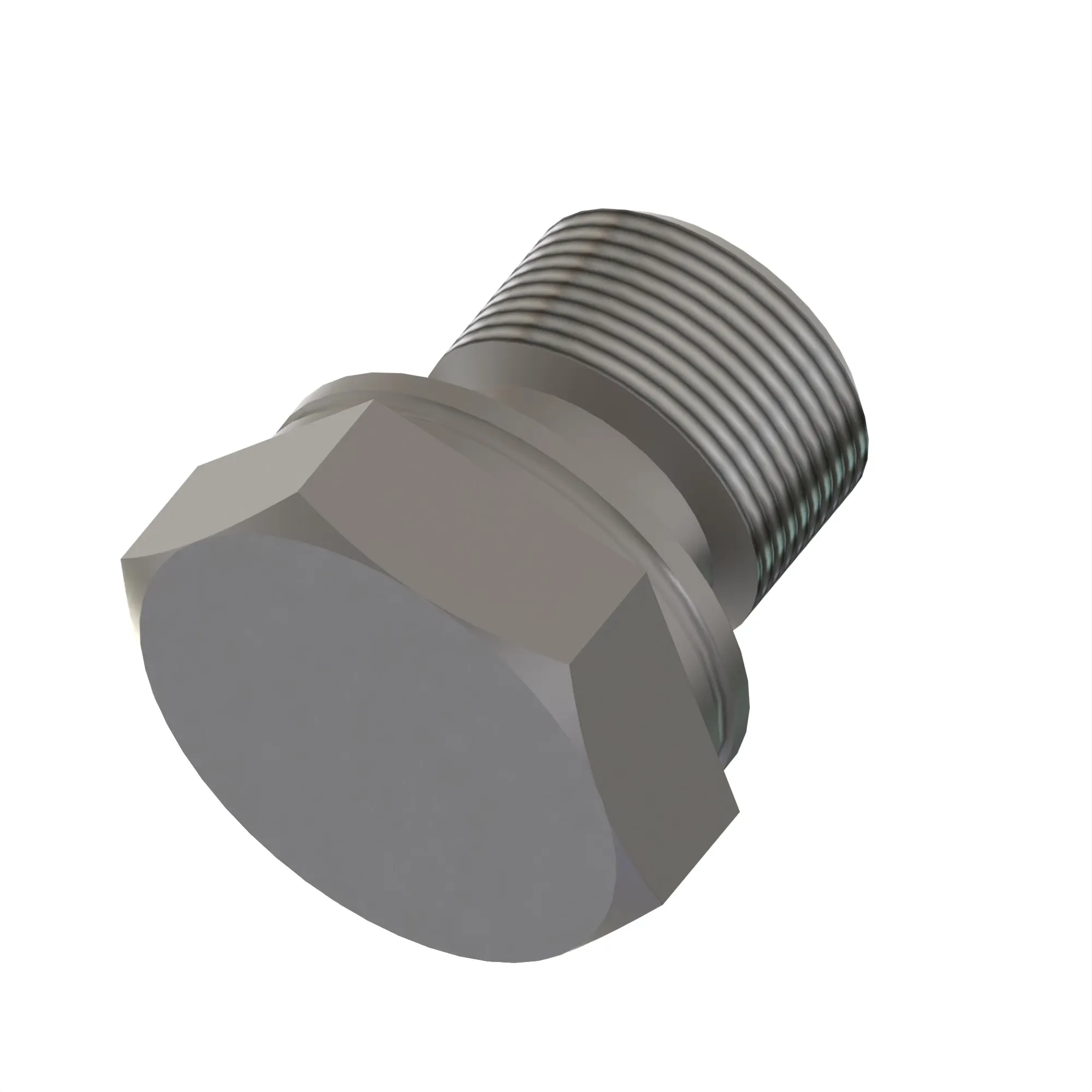 Fitting Plug