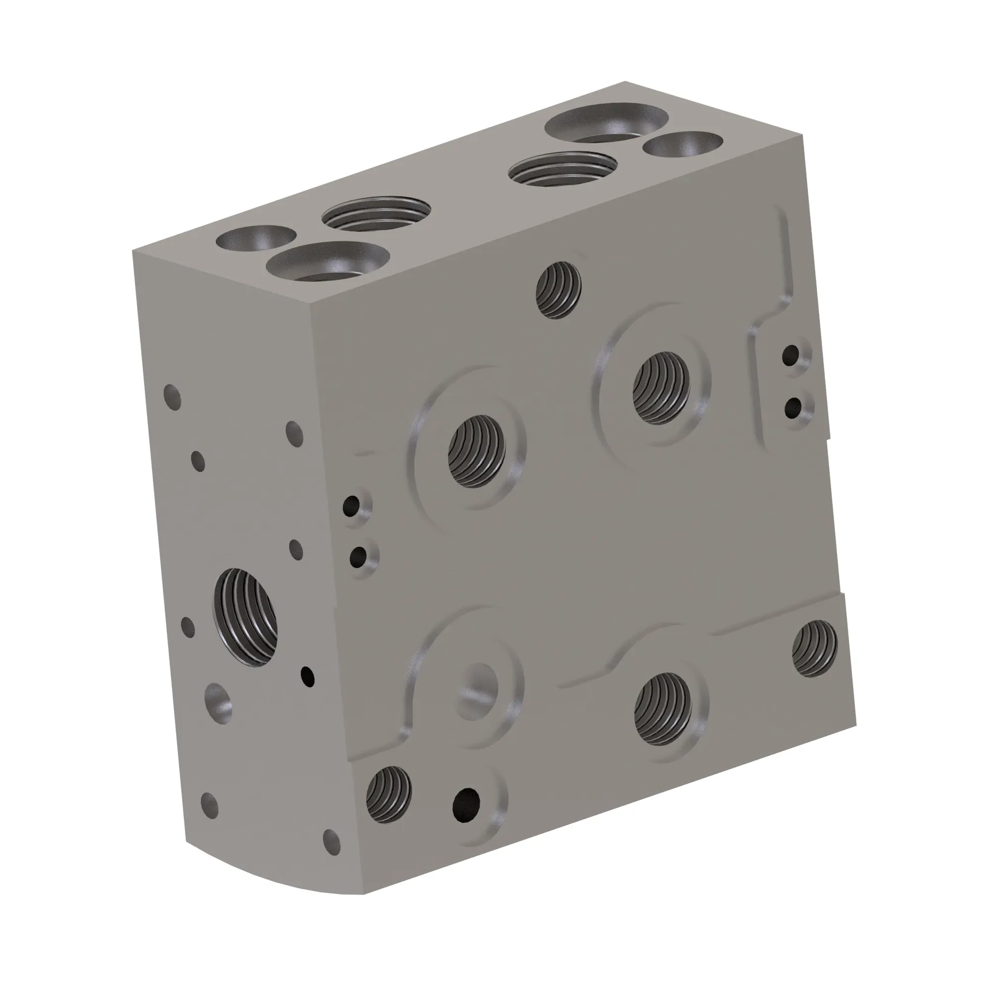 Manifold